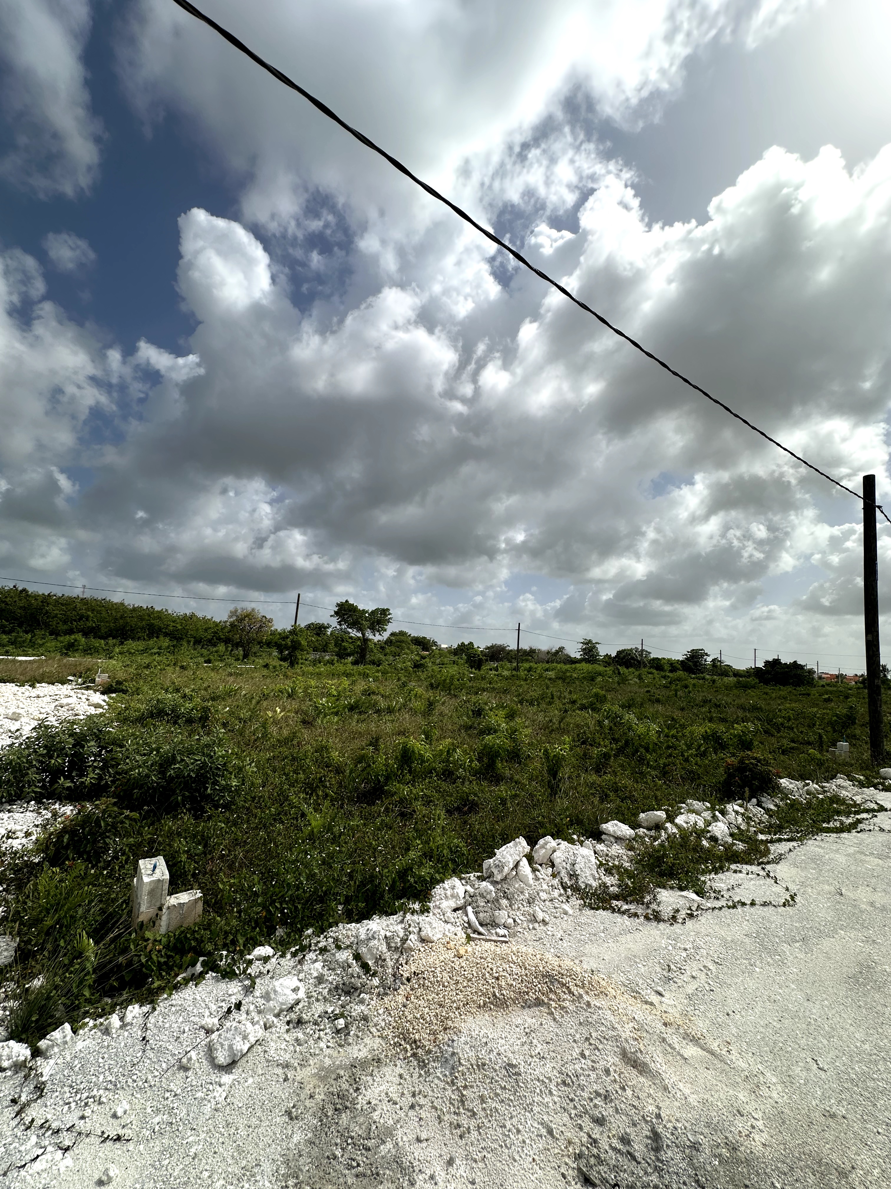 solares y terrenos - Parcela de terreno en Brisas de Punta Cana. 0
