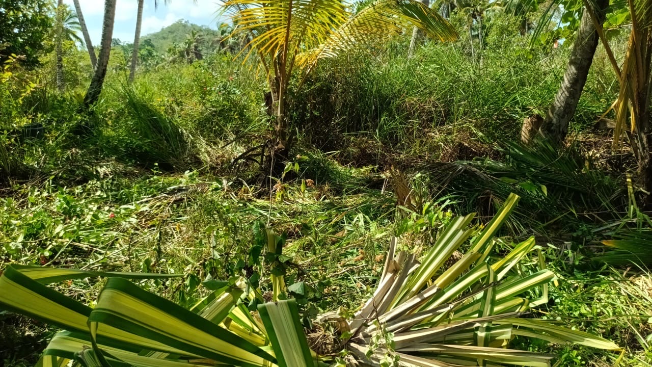 solares y terrenos - se vende solar en las terrenas muy cerca de una hermosa playa. proyecto cerrado  2