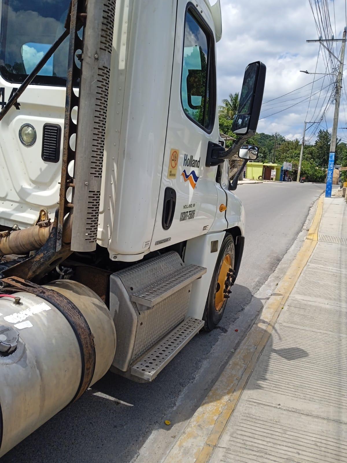camiones y vehiculos pesados - Camión FREIGHTLINER CASCADIA 2012 3