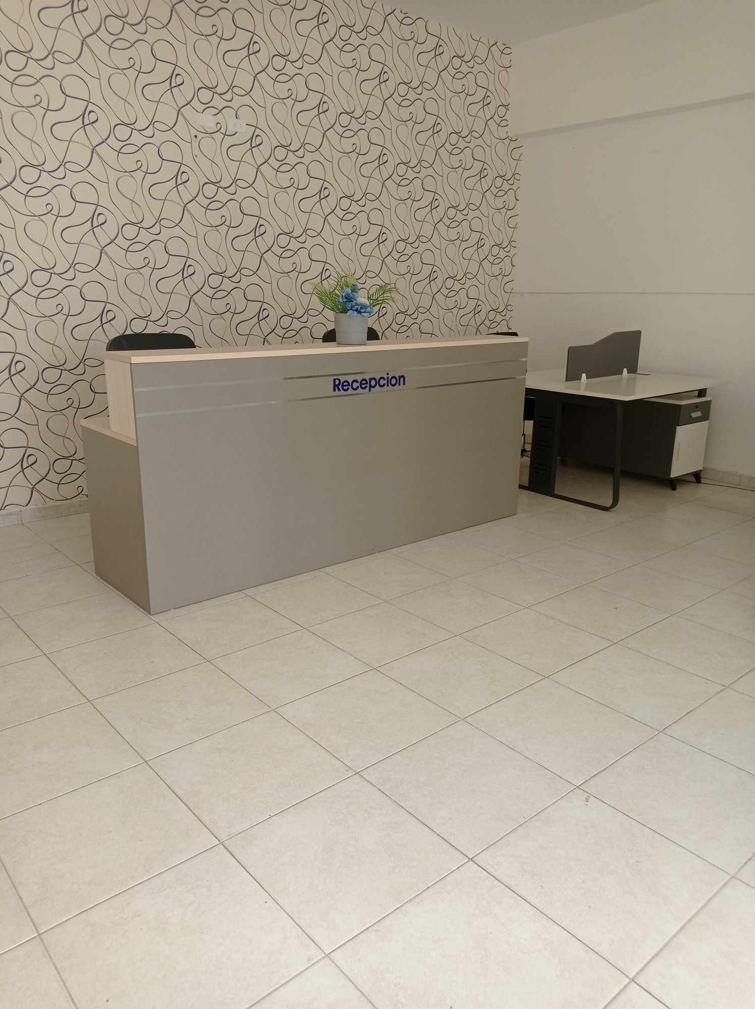 articulos de oficina - Caunter - Recepción  1