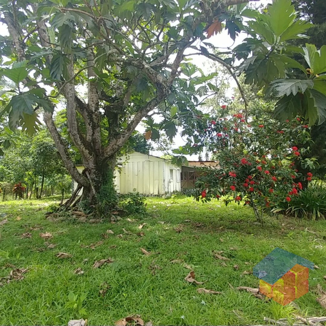 solares y terrenos - Solares Venta en Bonao 0