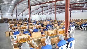 empleos disponibles - Se solicita supervisor de textil