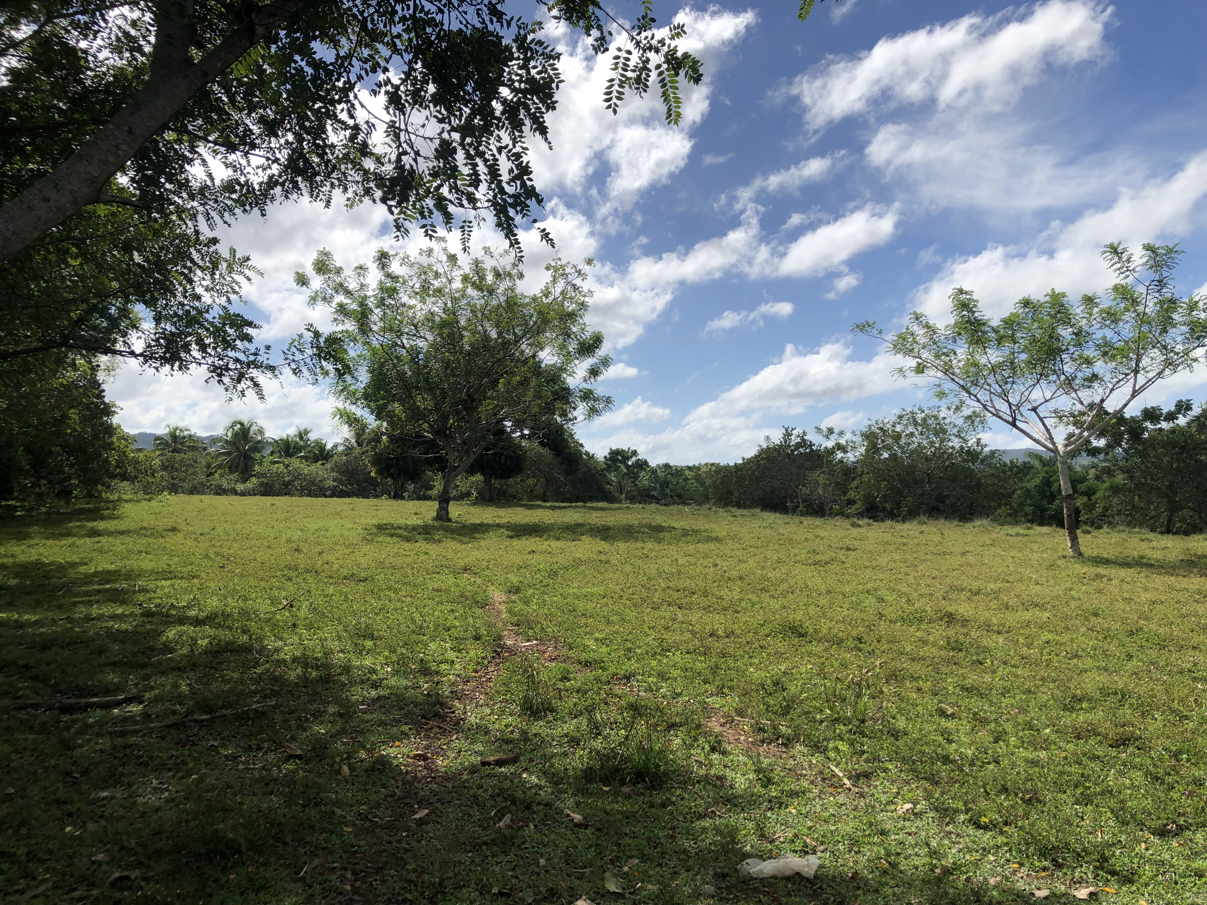solares y terrenos - SUPER OFERTA DE FINCA EN YAMASA, 253 TAREAS, REBAJ 9