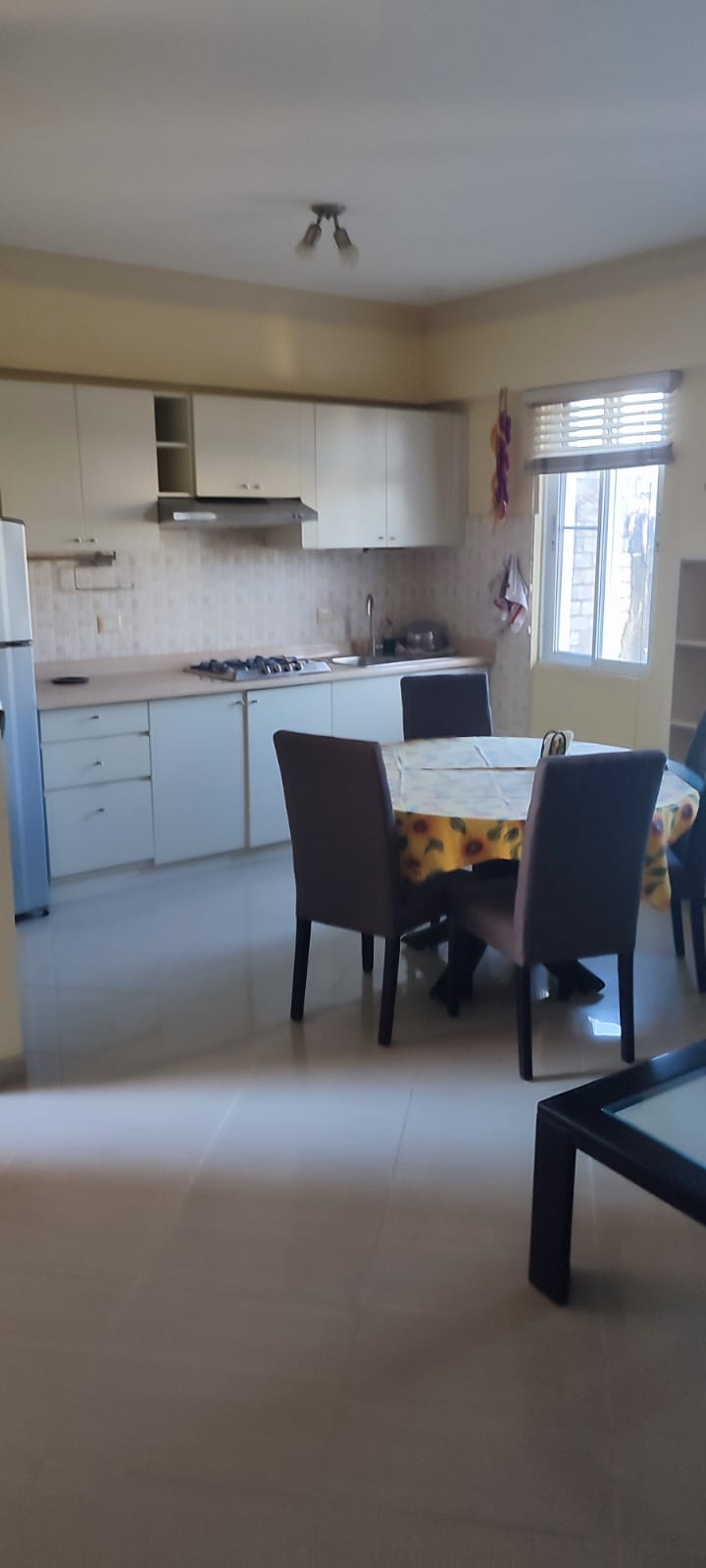apartamentos - VENDO apartamento amueblado en Boca Chica 0