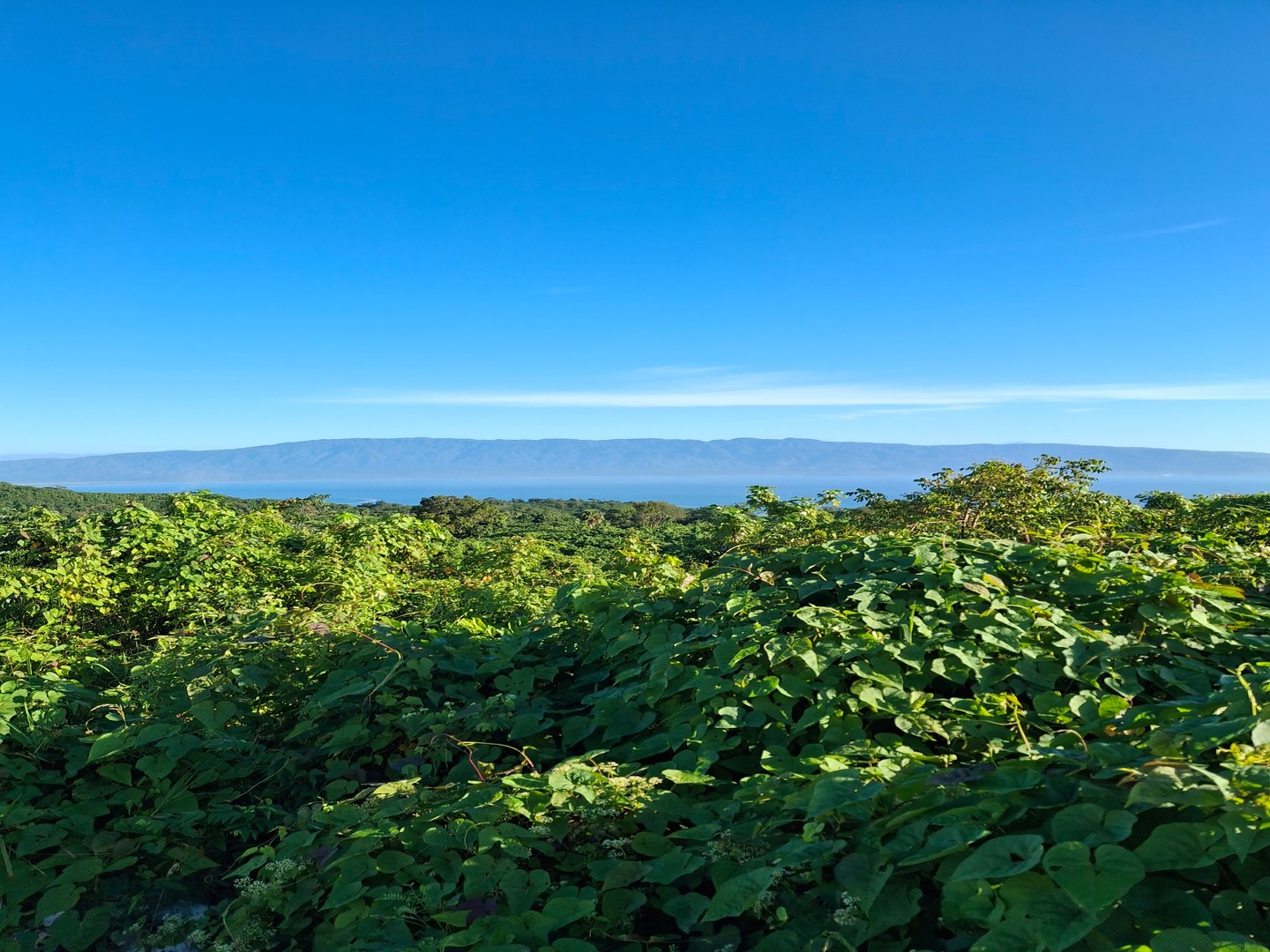solares y terrenos - Terreno de 506.13 m² con Vista al Mar en Barahona  2