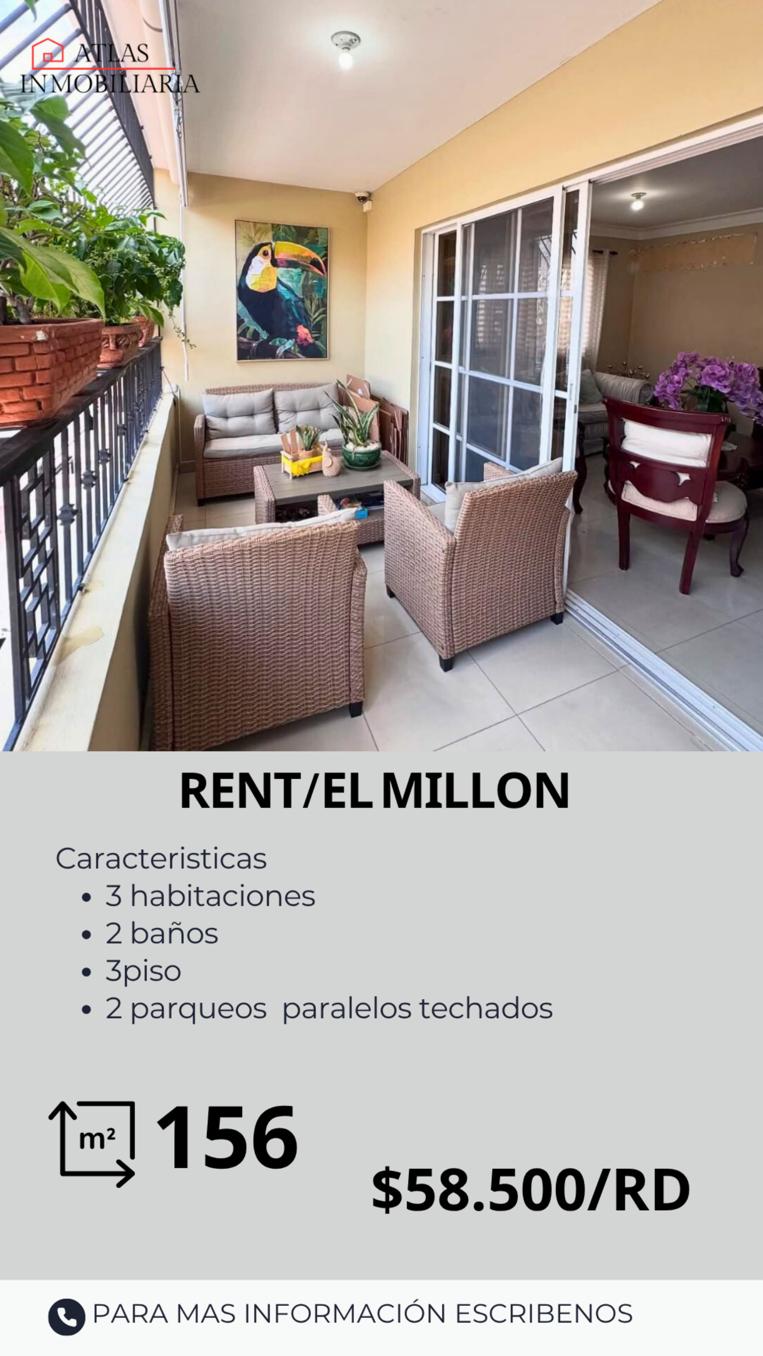 apartamentos - APARTAMENTO EN ALQUILER 0