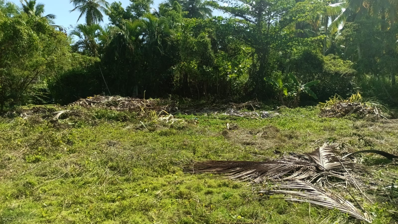 solares y terrenos - se vende solar en las terrenas muy cerca de una hermosa playa. proyecto cerrado  1