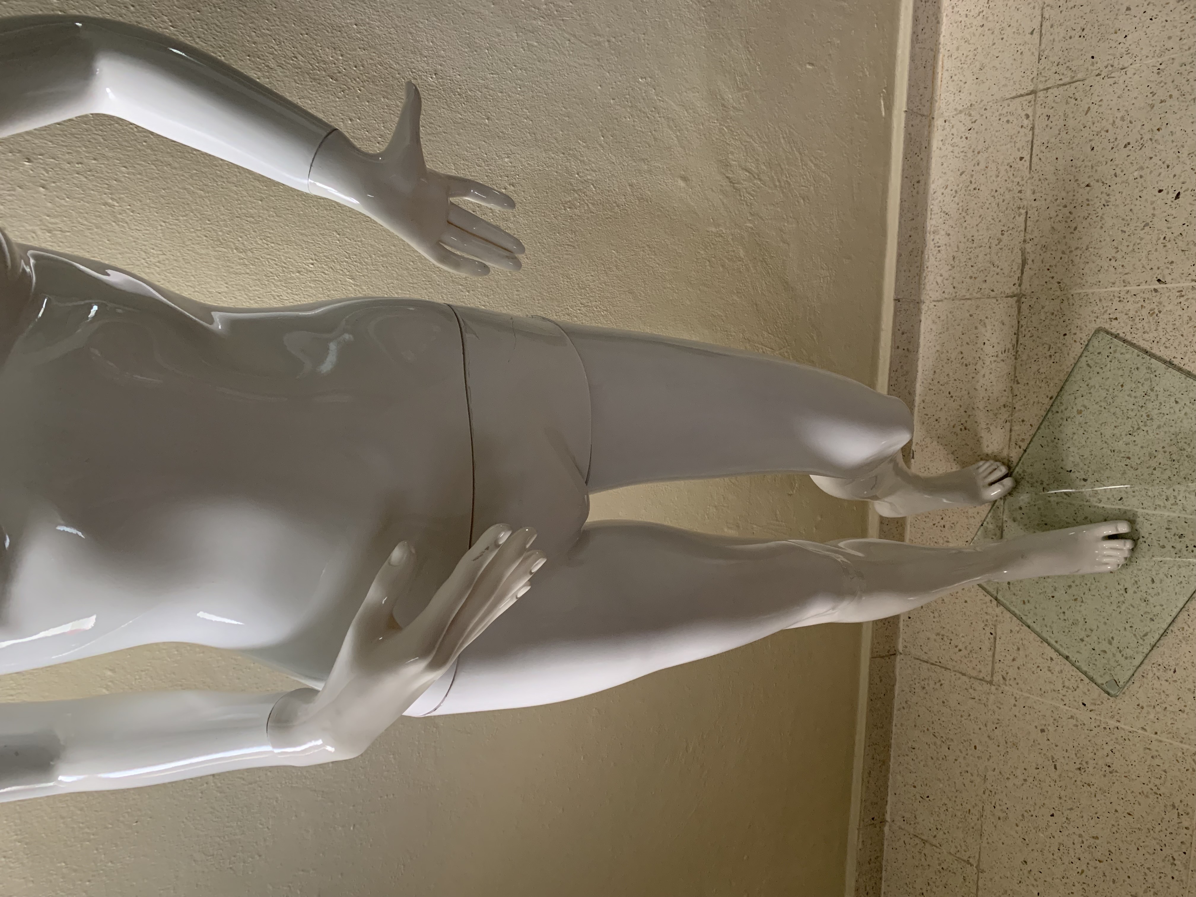 equipos profesionales - Se vende maniquí  4