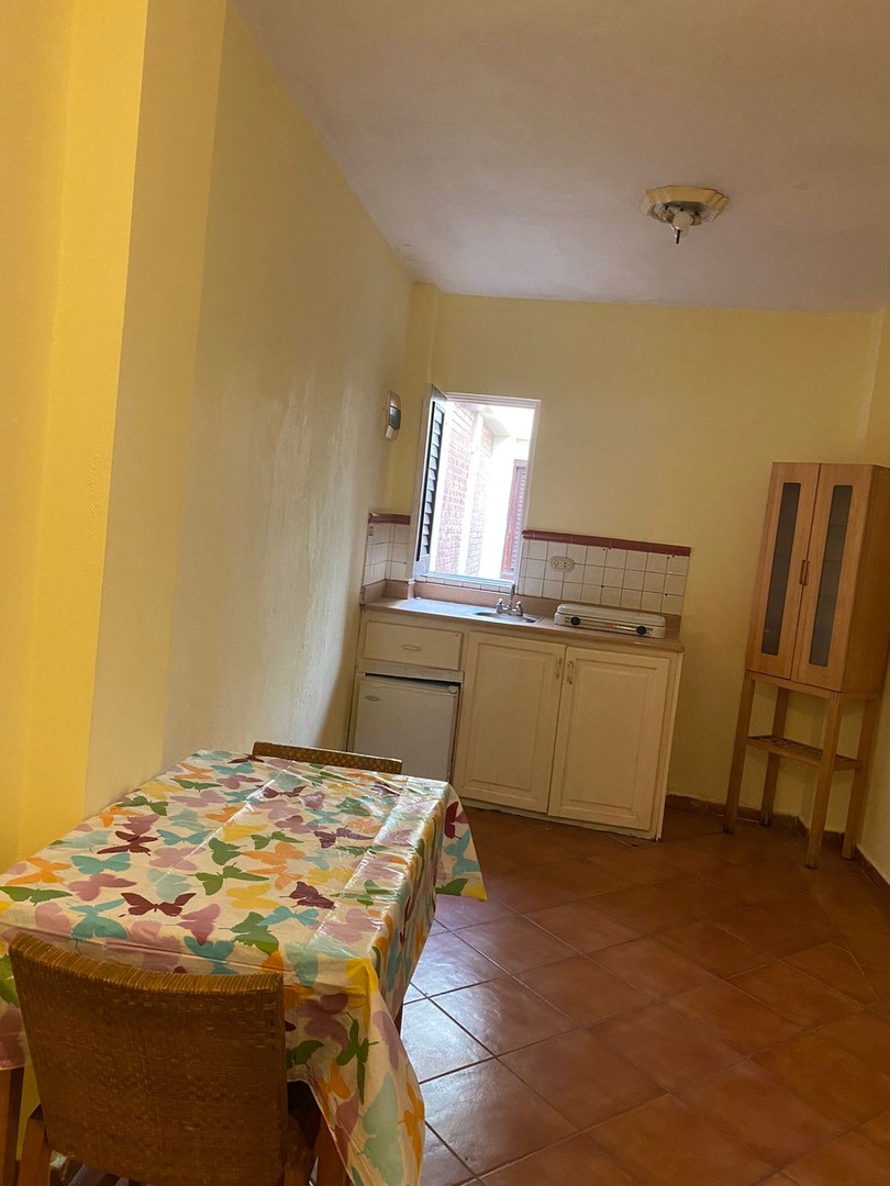 apartamentos - Alquiler Apartamento Amueblado de 1 Habitación Ubicado en la Zona Colonial 1