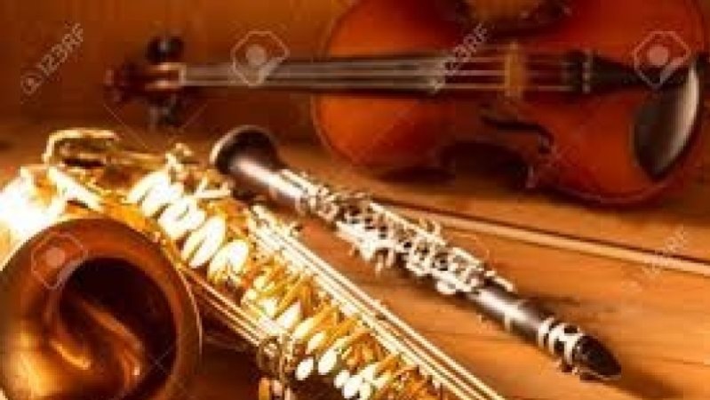 servicios profesionales - Para sus fiestas, Bodas y Quinceaños,  violinistas 5