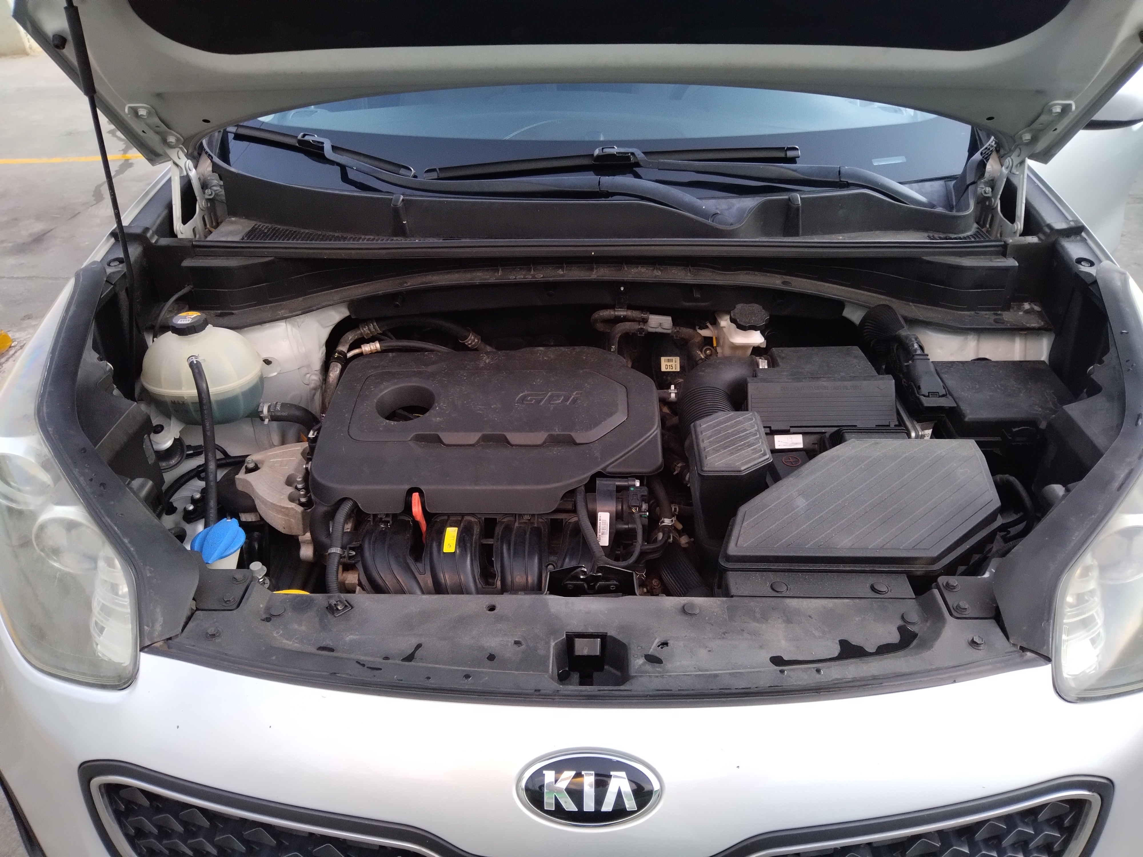 jeepetas y camionetas - Kia Sportage 2019 Clean CarFax 2