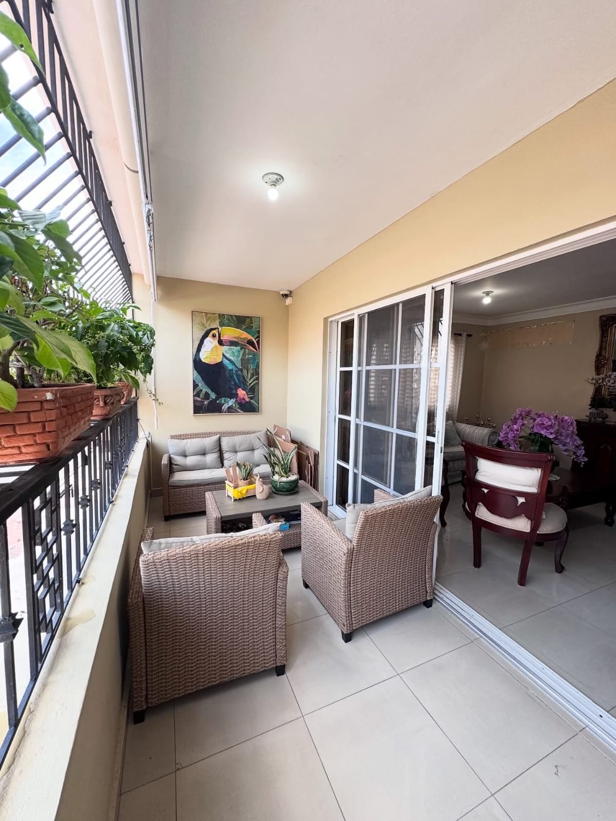 apartamentos - APARTAMENTO EN ALQUILER 2