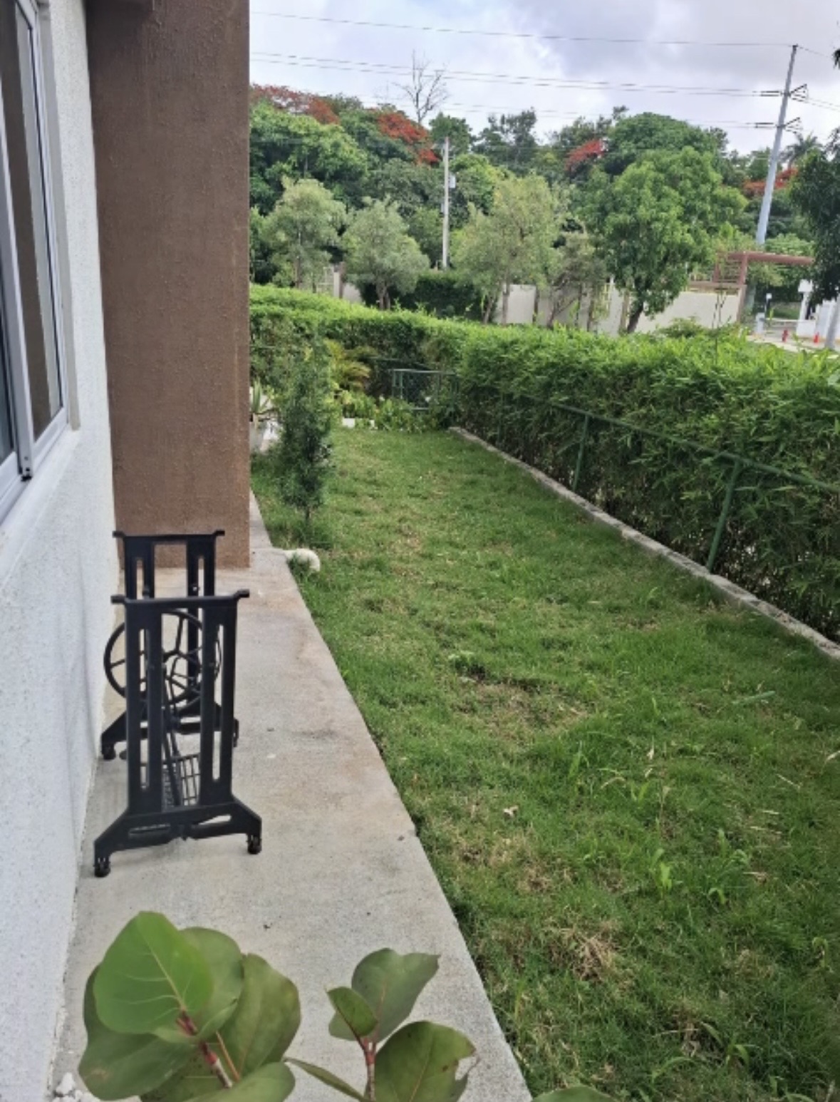 apartamentos - ALQUILER APARTAMENTO  7