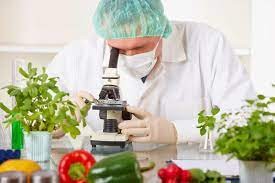 empleos disponibles - Se solicita ingeniero en alimentos 
