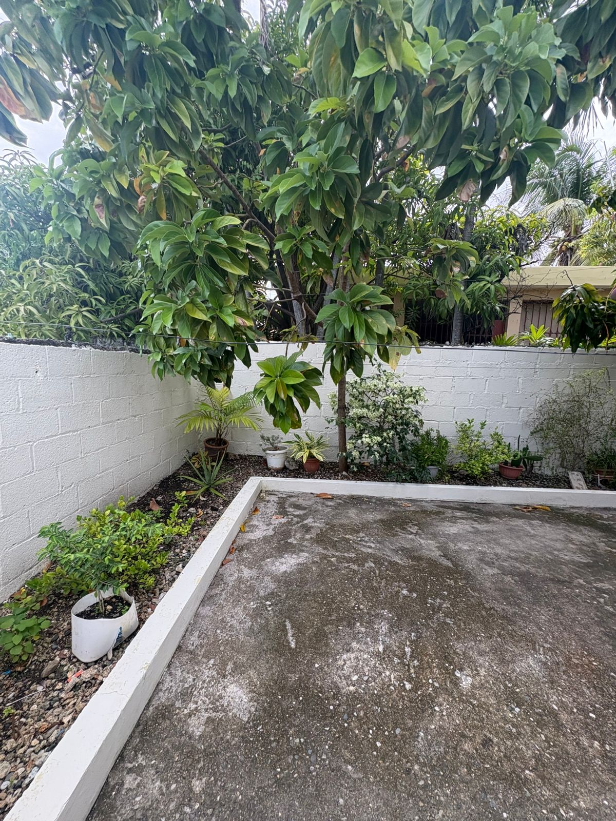 casas - Casa en Venta – Av. Independencia  Santo Domingo. 7