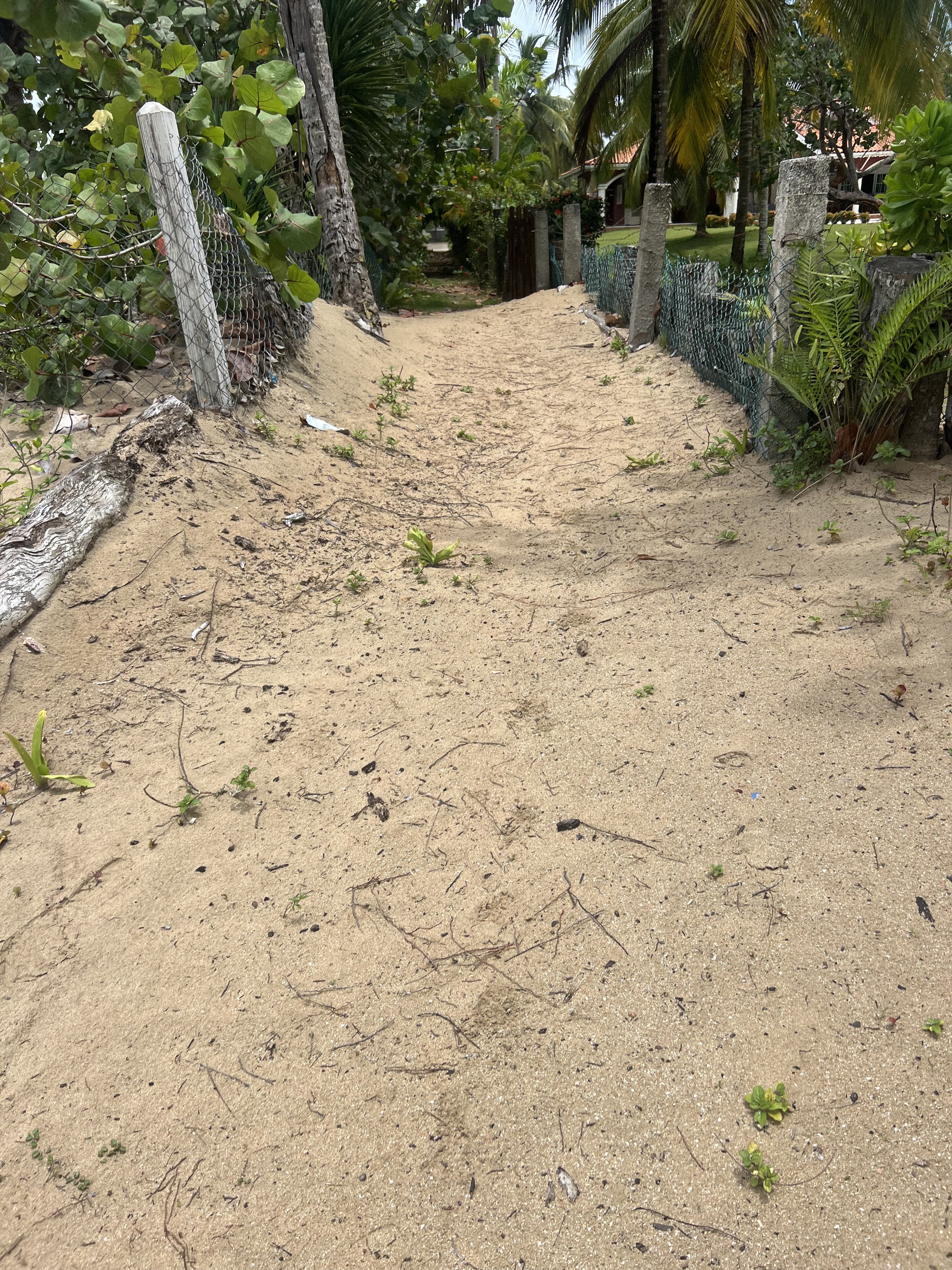 solares y terrenos - se vende solar en las terrenas muy cerca de una hermosa playa. proyecto cerrado  4