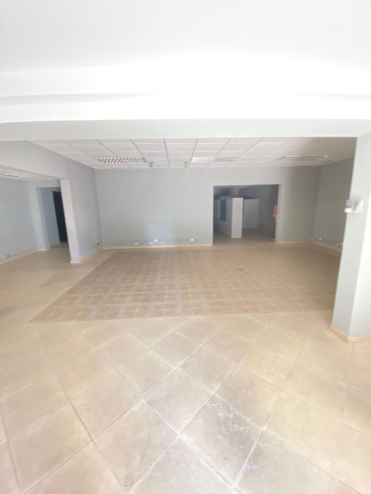 oficinas y locales comerciales - Local corporativo 1500 metros 1