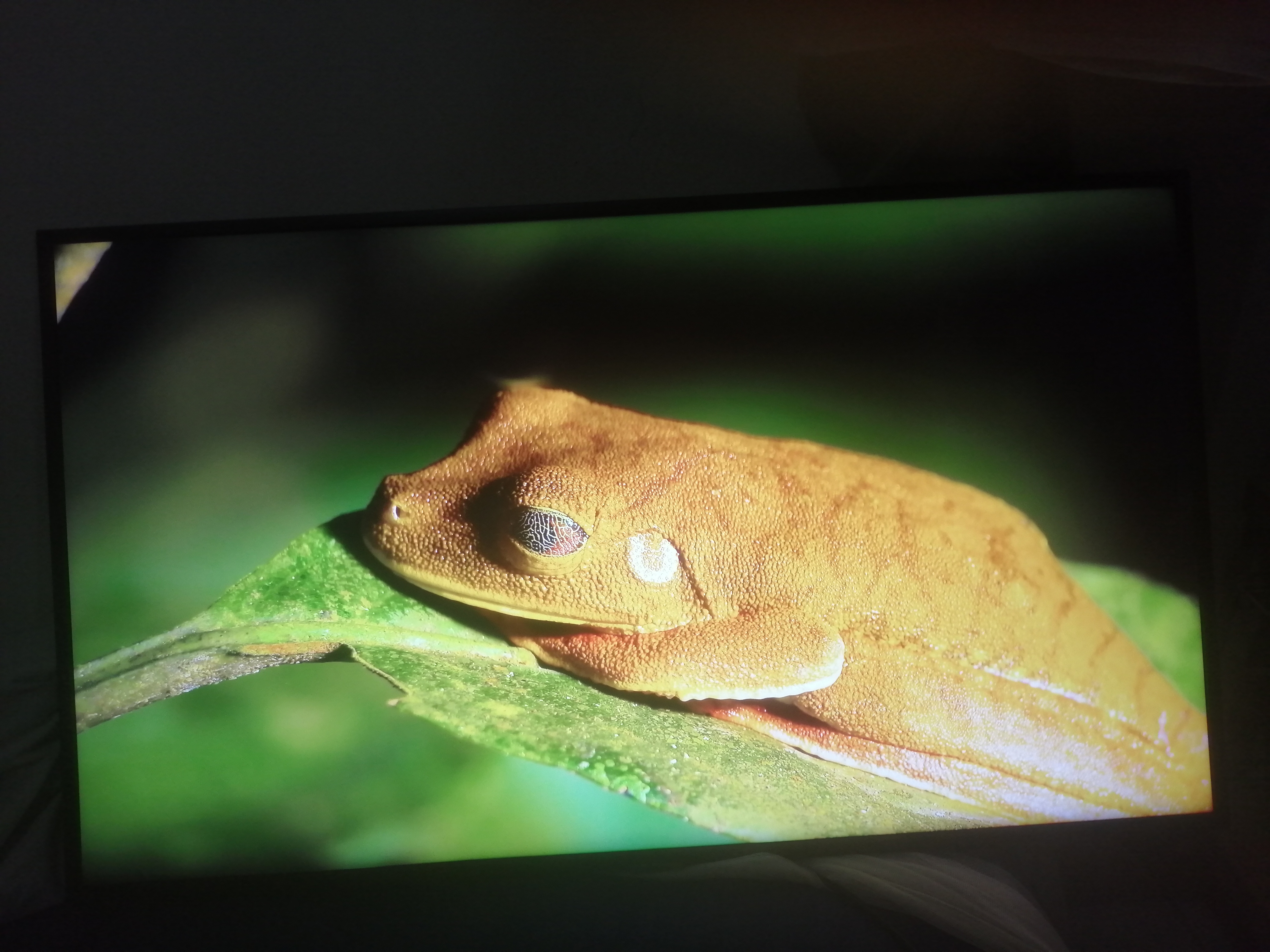tv - Smart tv 43" 4K Samsung Crystal 0