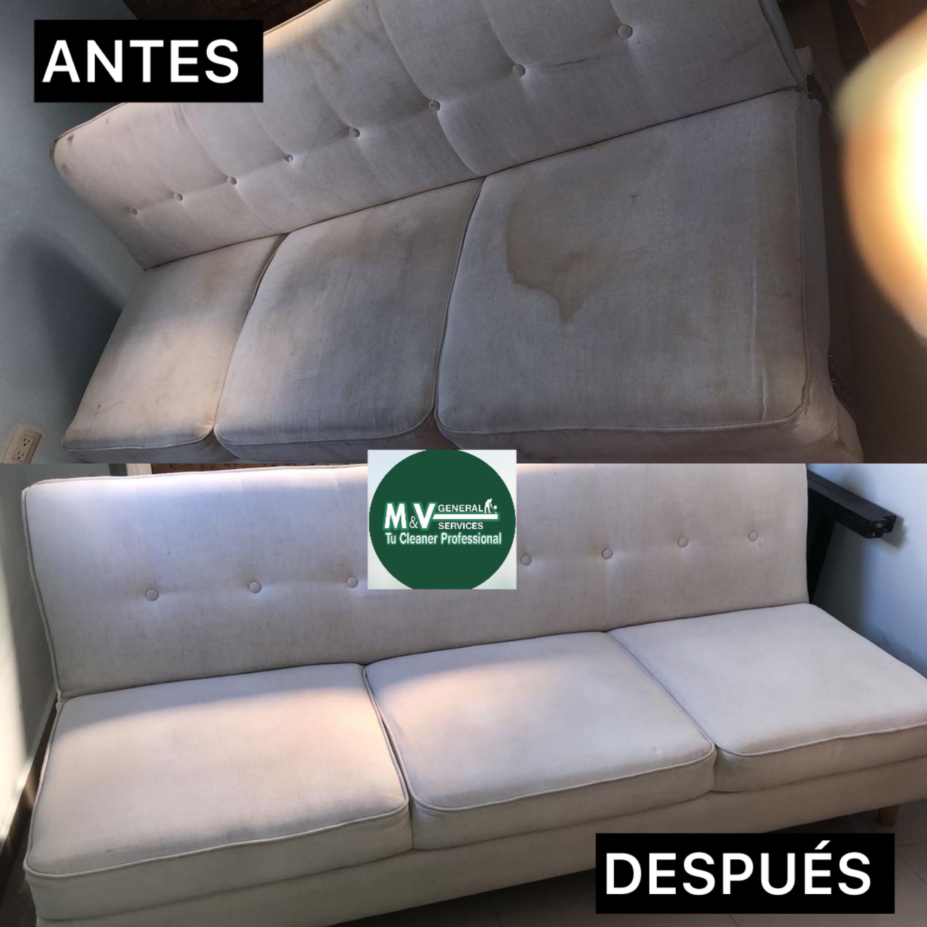 servicios profesionales - Limpieza profunda de colchones, muebles y alfombras 1