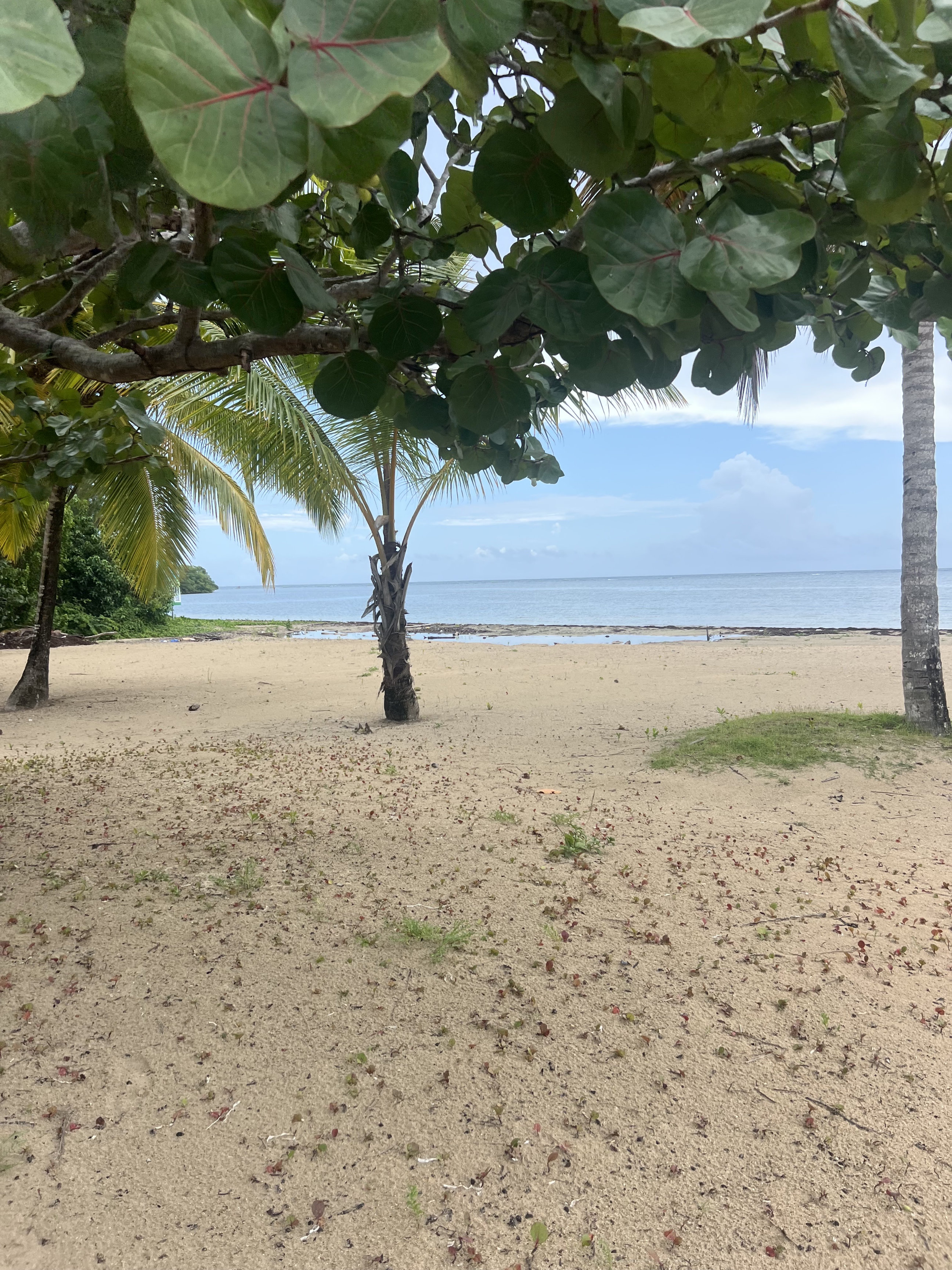 solares y terrenos - se vende solar en las terrenas muy cerca de una hermosa playa. proyecto cerrado  5