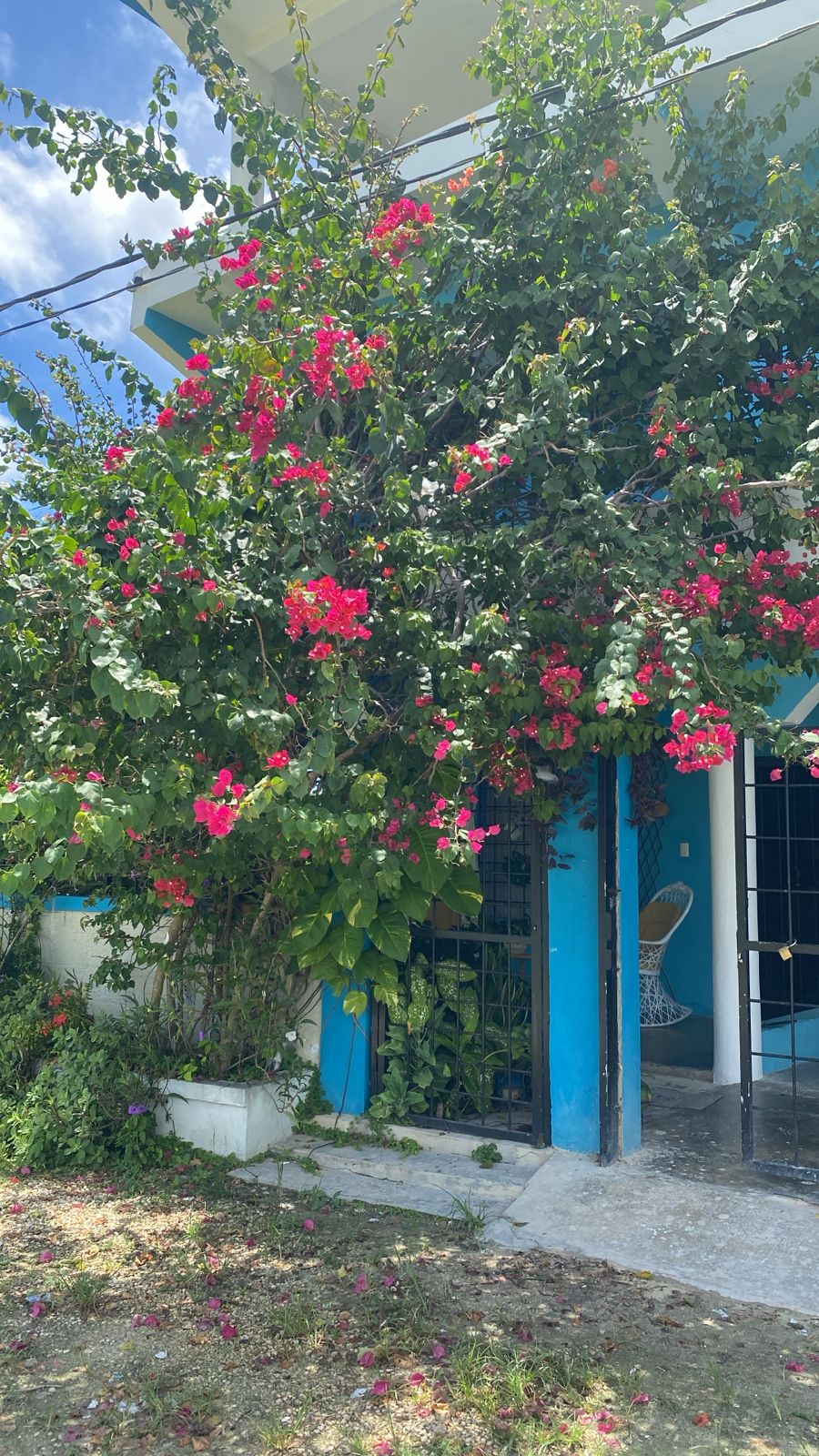 otros inmuebles - Propiedad de 3 niveles en Altos de Friusa Bavaro 3