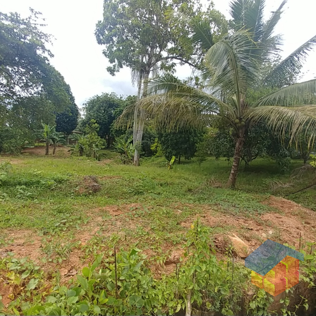 solares y terrenos - Solares Venta en Bonao 5