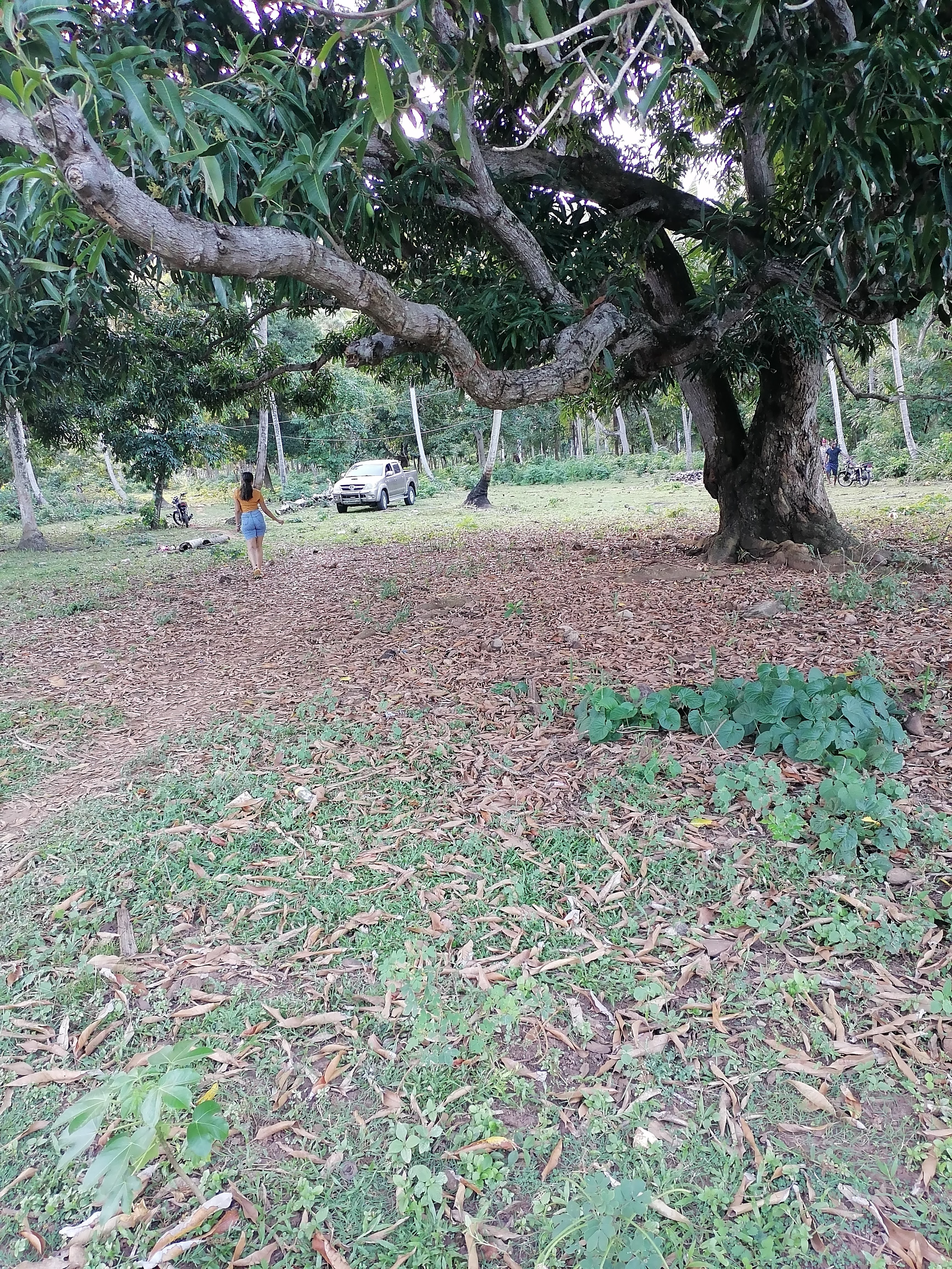 solares y terrenos - SE VENDE TERRENO EN EL FRANCES DE SAMANA 1
