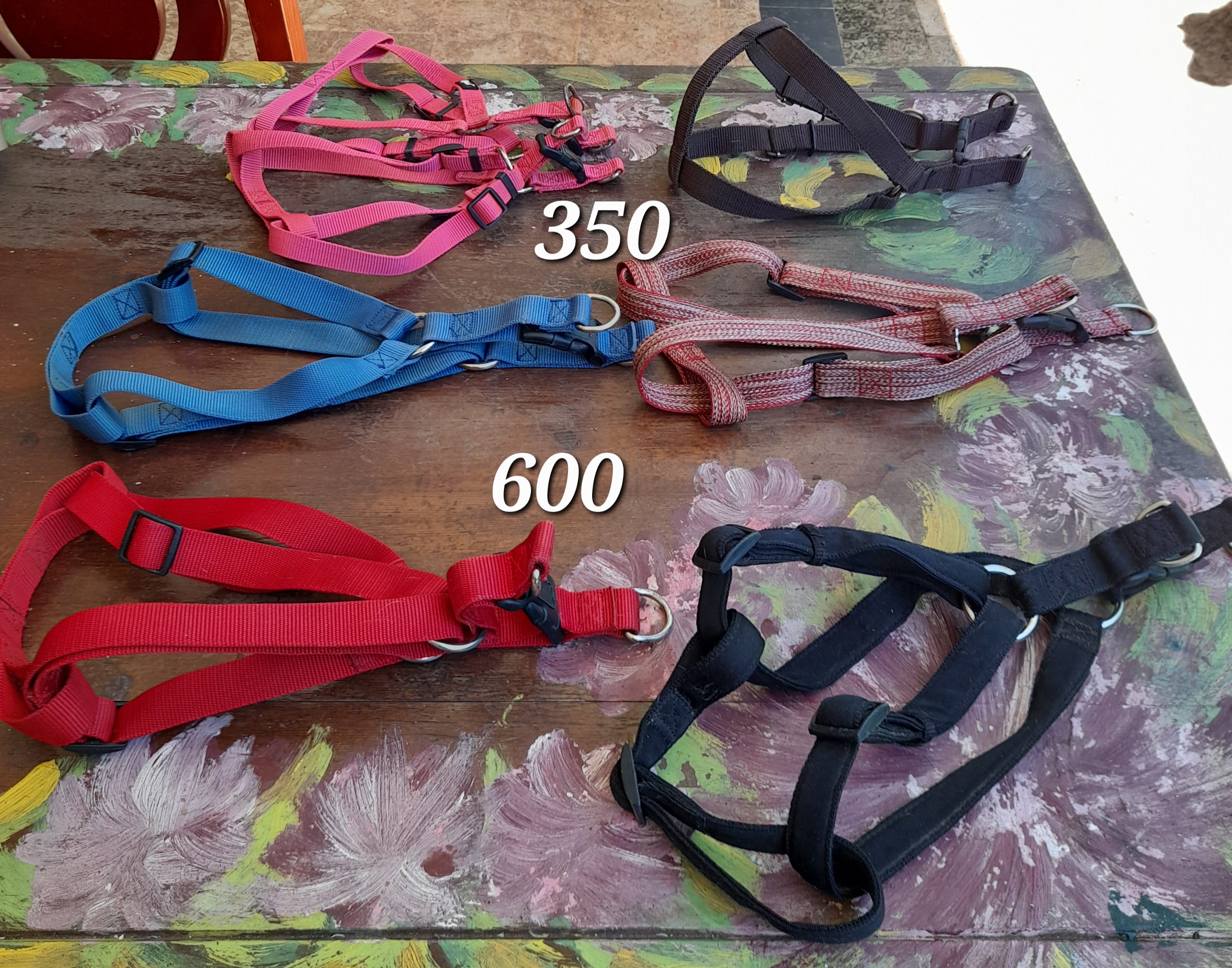 animales y mascotas - Accesorios para perros  4