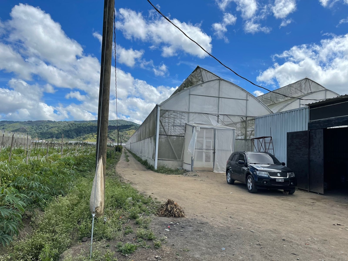 solares y terrenos - Rancho arriba finca invernadero  6