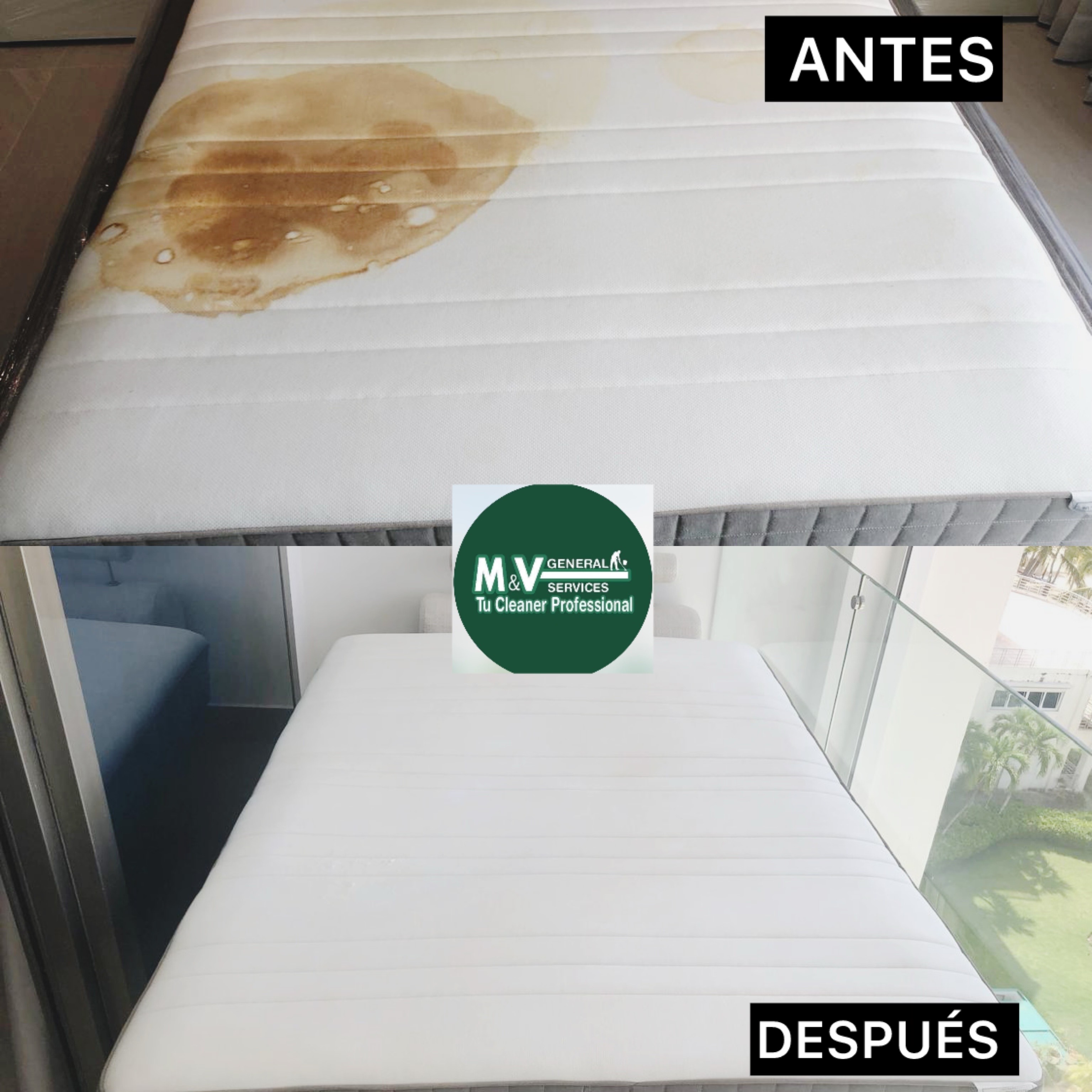 servicios profesionales - Limpieza profunda de colchones, muebles y alfombras 5