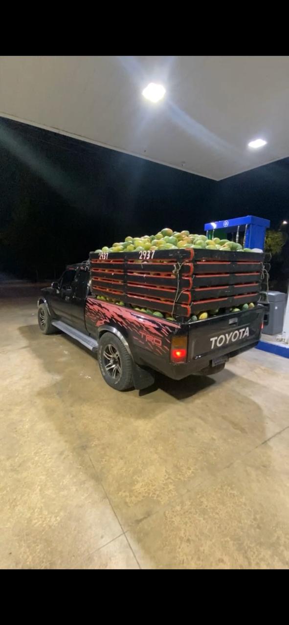 jeepetas y camionetas - Toyota hilux 1992 1