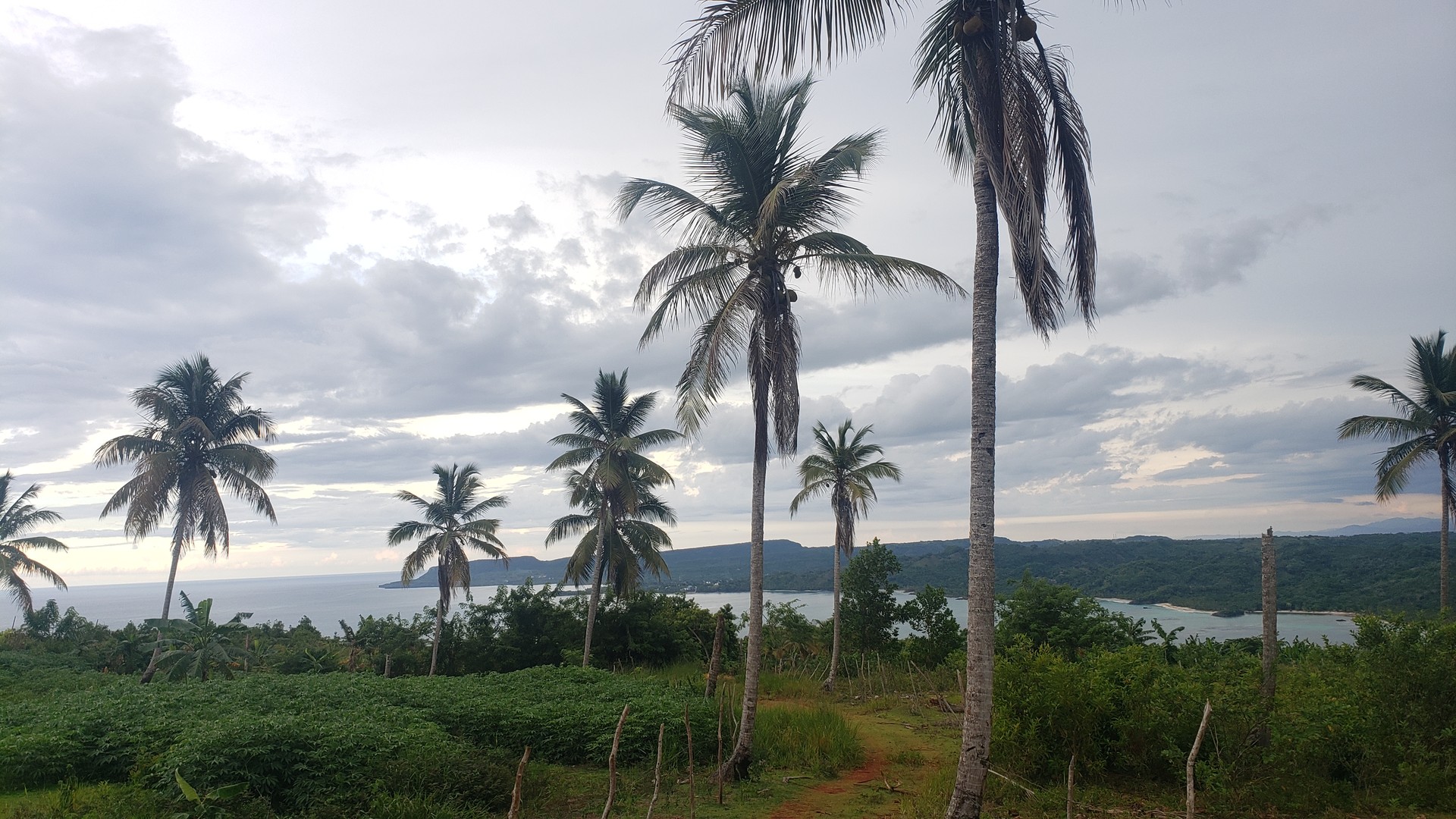 solares y terrenos - Solar en Bahia Rincon Samana de 147782 metros Vista al mar No Broker 2