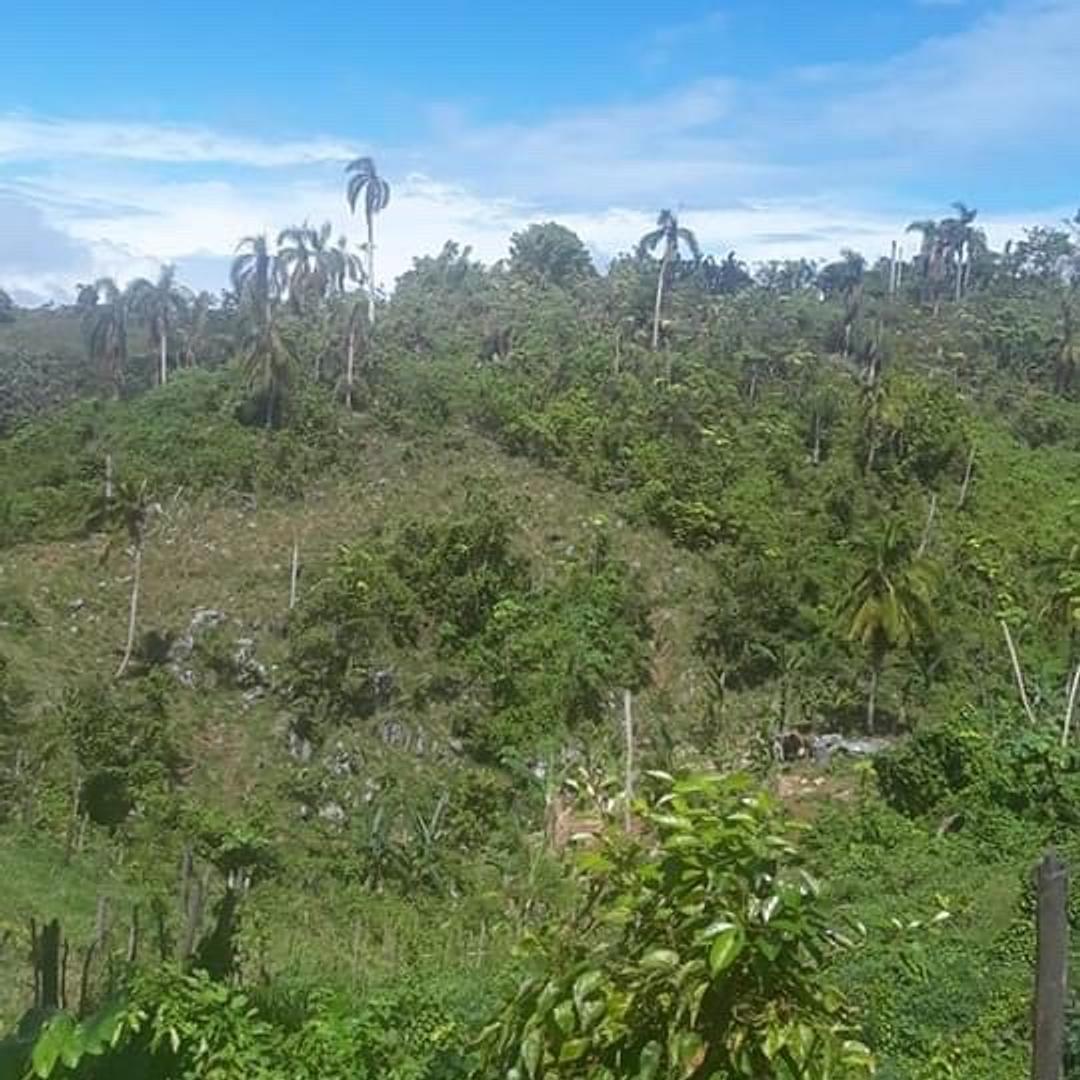 solares y terrenos - Vebdo Terreno con su Título en Samana. Punta Balandra