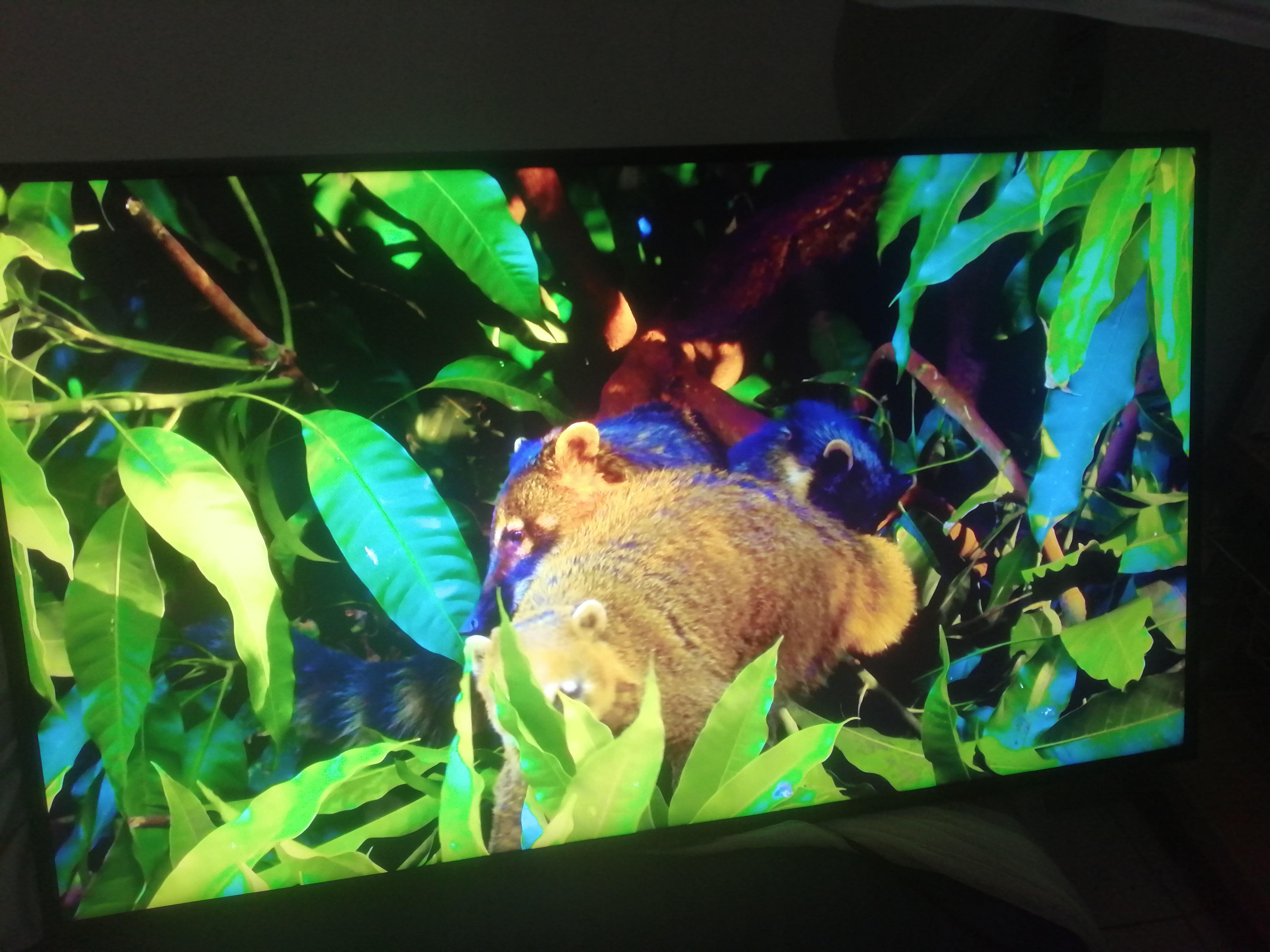 tv - Smart tv 43" 4K Samsung Crystal 1