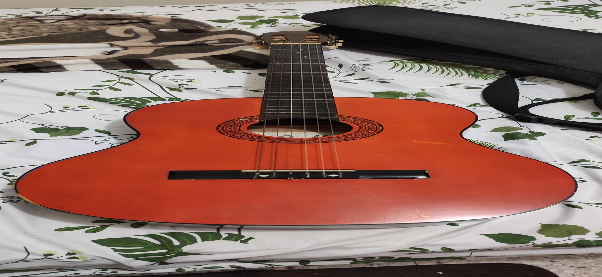 animales y mascotas - Guitarra acústica 2