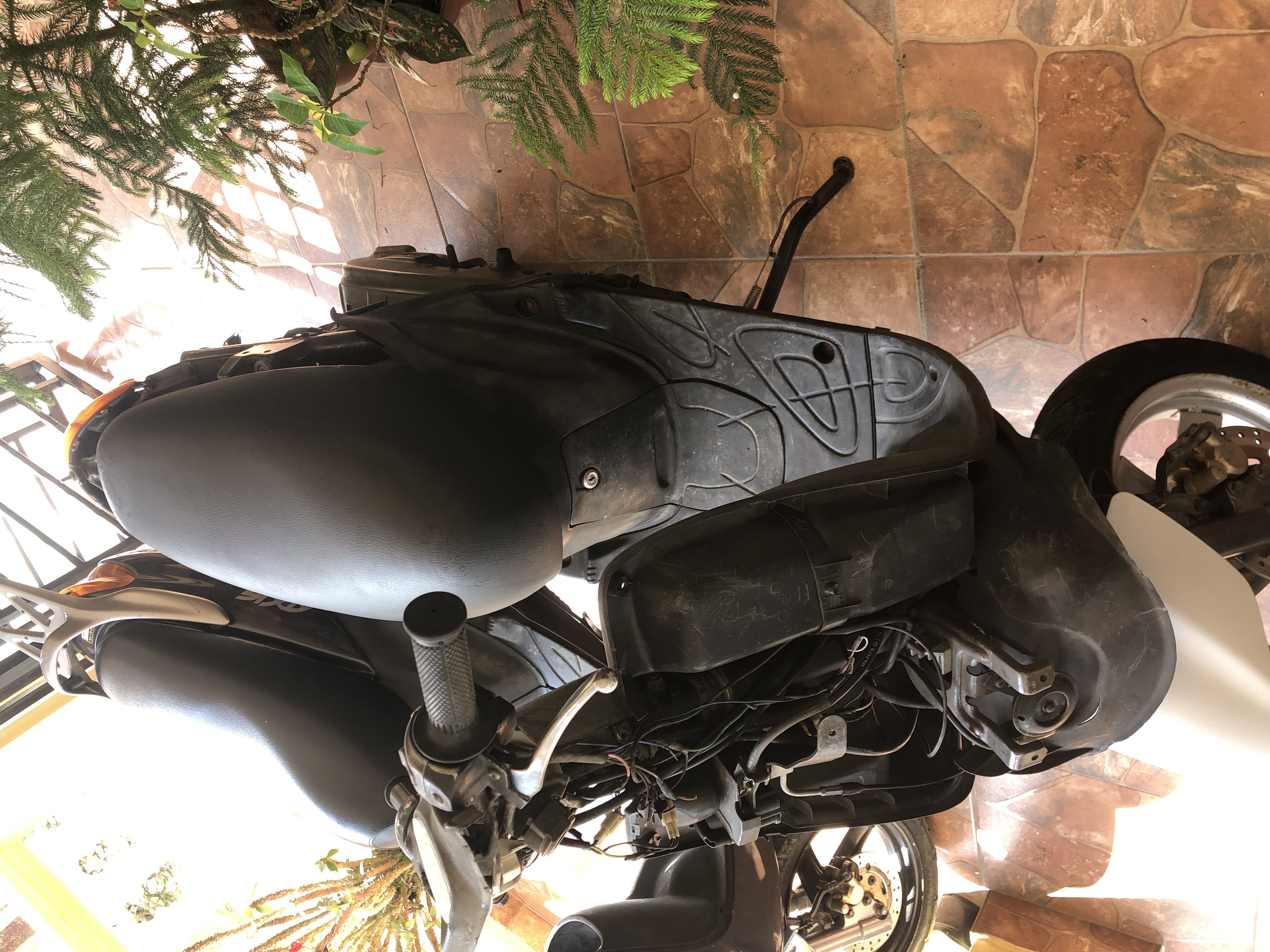 motores y pasolas - svd pasola gran axi 100 9