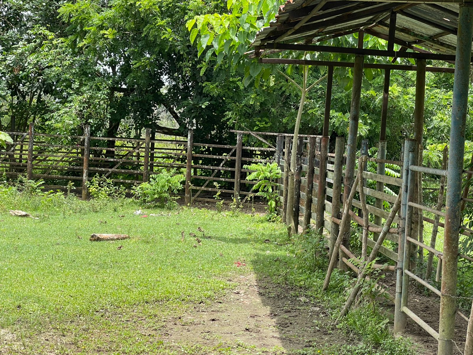 solares y terrenos - Finca de 2,500 tareas en Santo Domingo Norte, a la Orilla de la Carretera 1