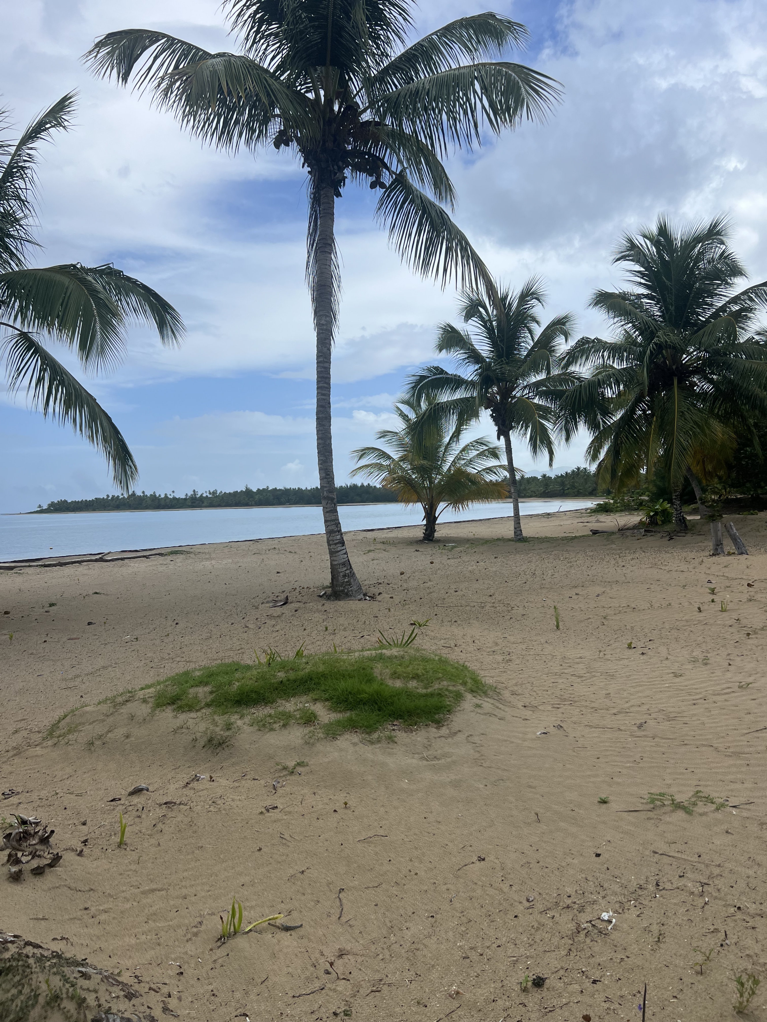 solares y terrenos - se vende solar en las terrenas muy cerca de una hermosa playa. proyecto cerrado  6