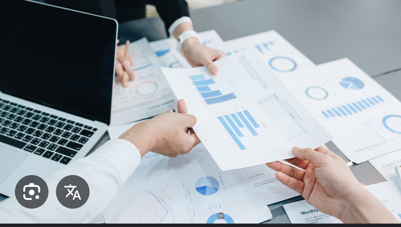 servicios profesionales - Servicios contables  0