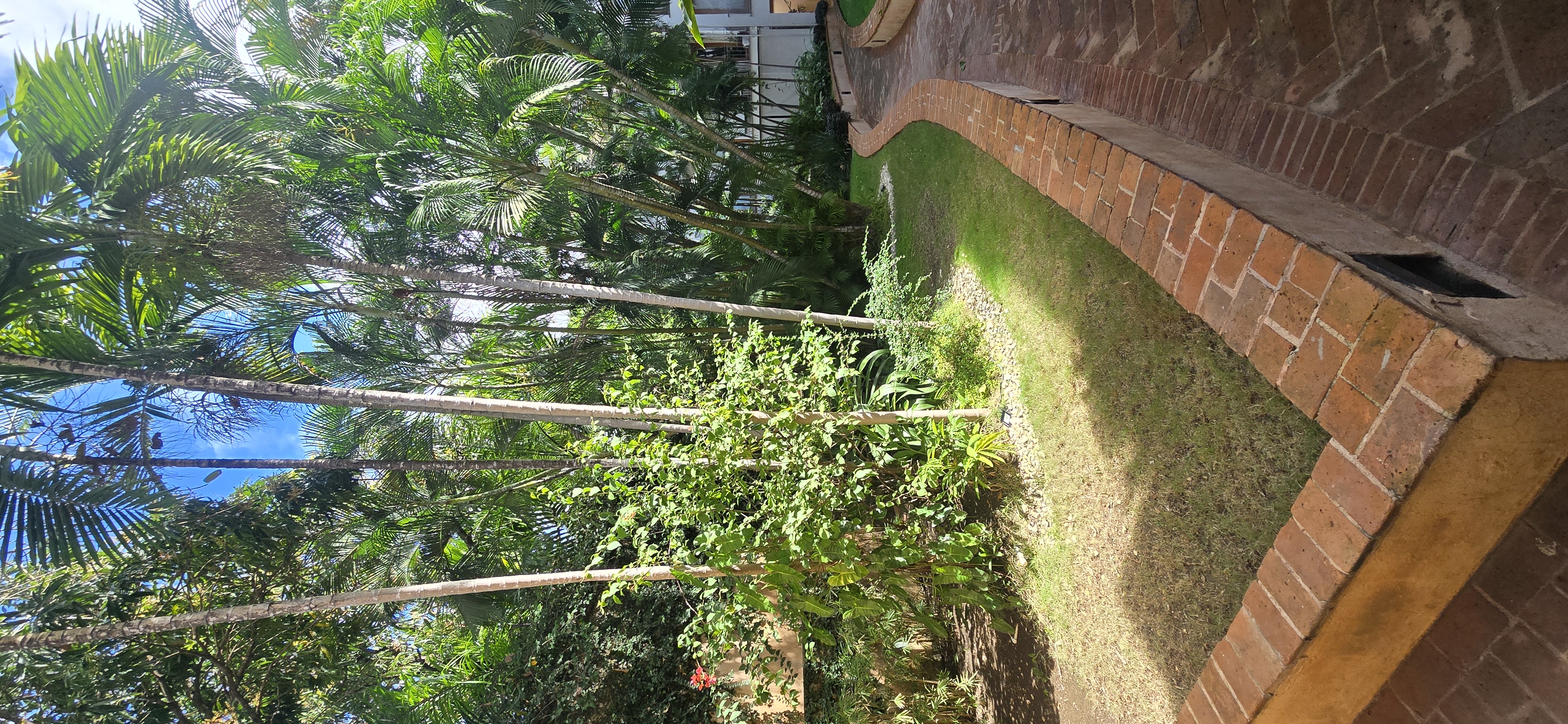 apartamentos - Apartamento en alquiler en la zona colonial NARAI  0