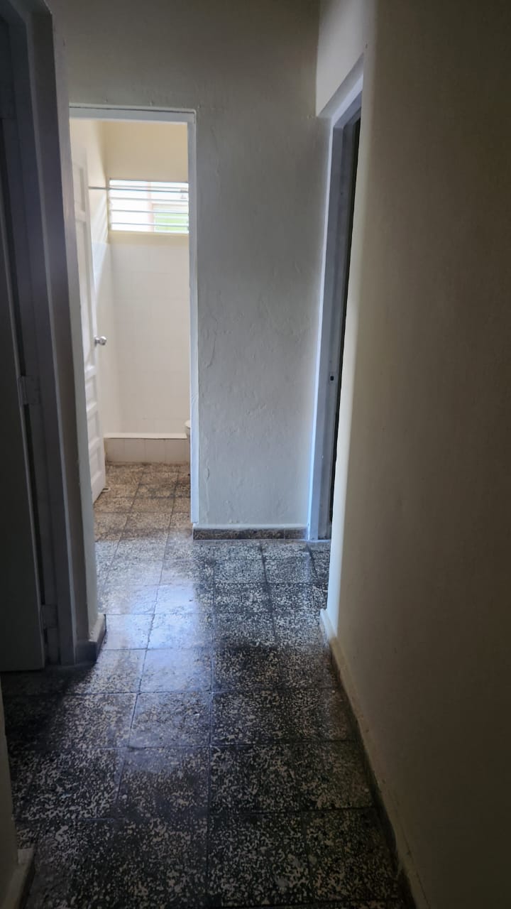 apartamentos - Apartamento  5