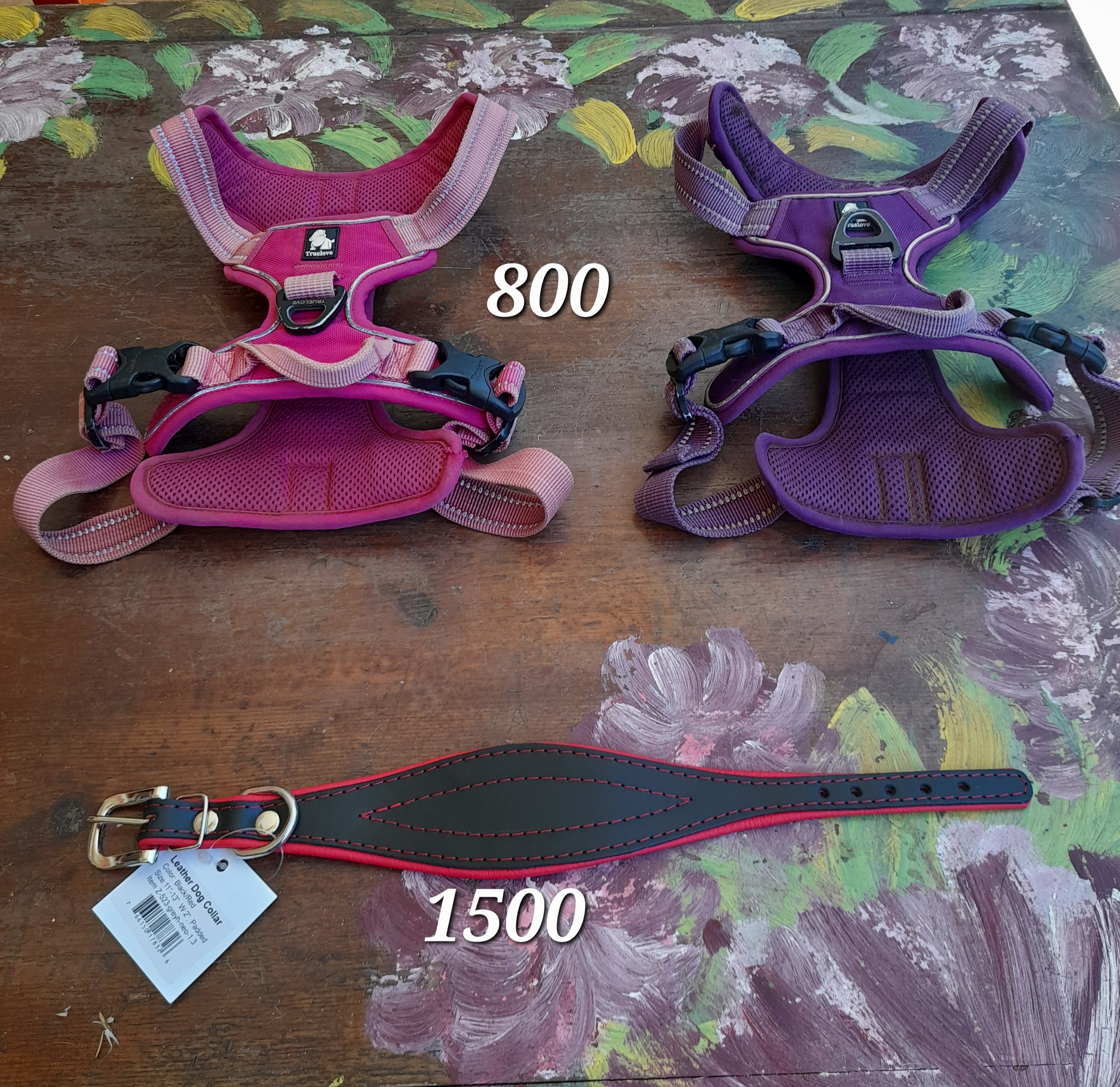 animales y mascotas - Accesorios para perros  2