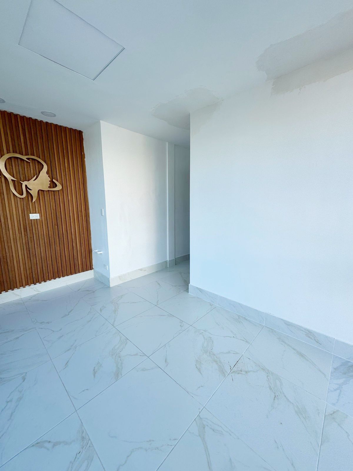 oficinas y locales comerciales - Local céntrico en Piantini  9