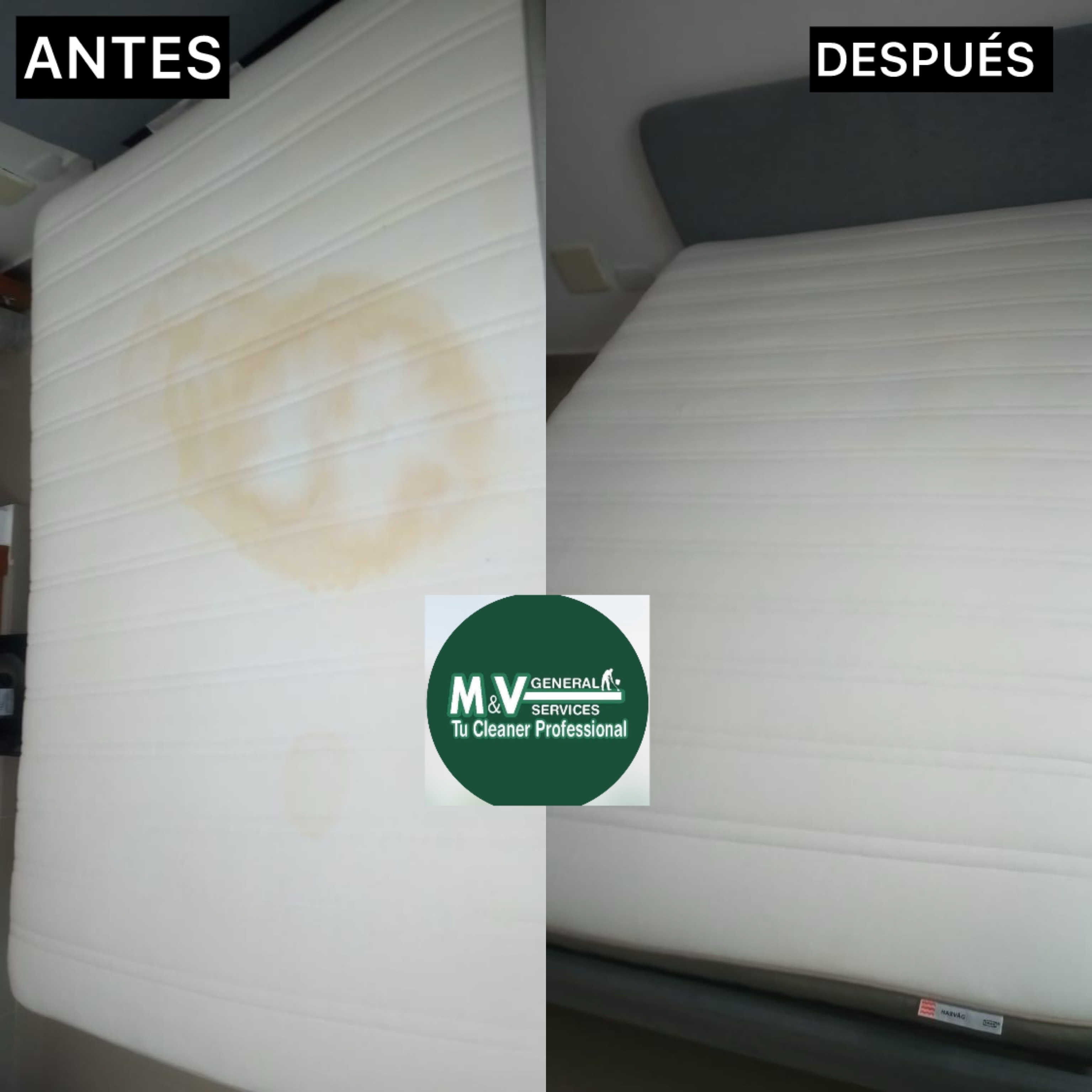 servicios profesionales - Limpieza profunda de colchones, muebles y alfombras 3