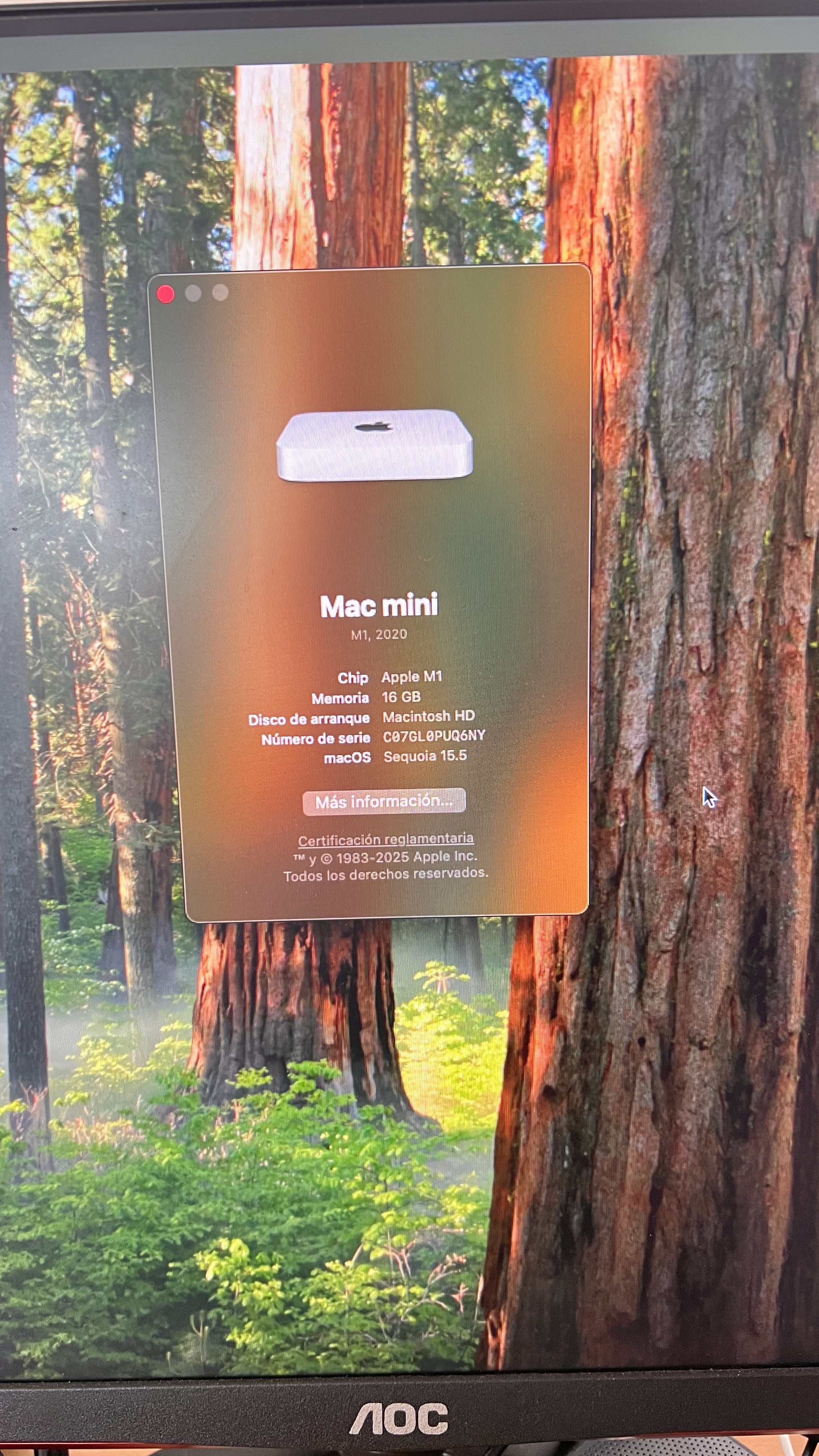 computadoras y laptops -  Mac mini,
procesador  M1 GB 16 de RAM 256 disco sólido
