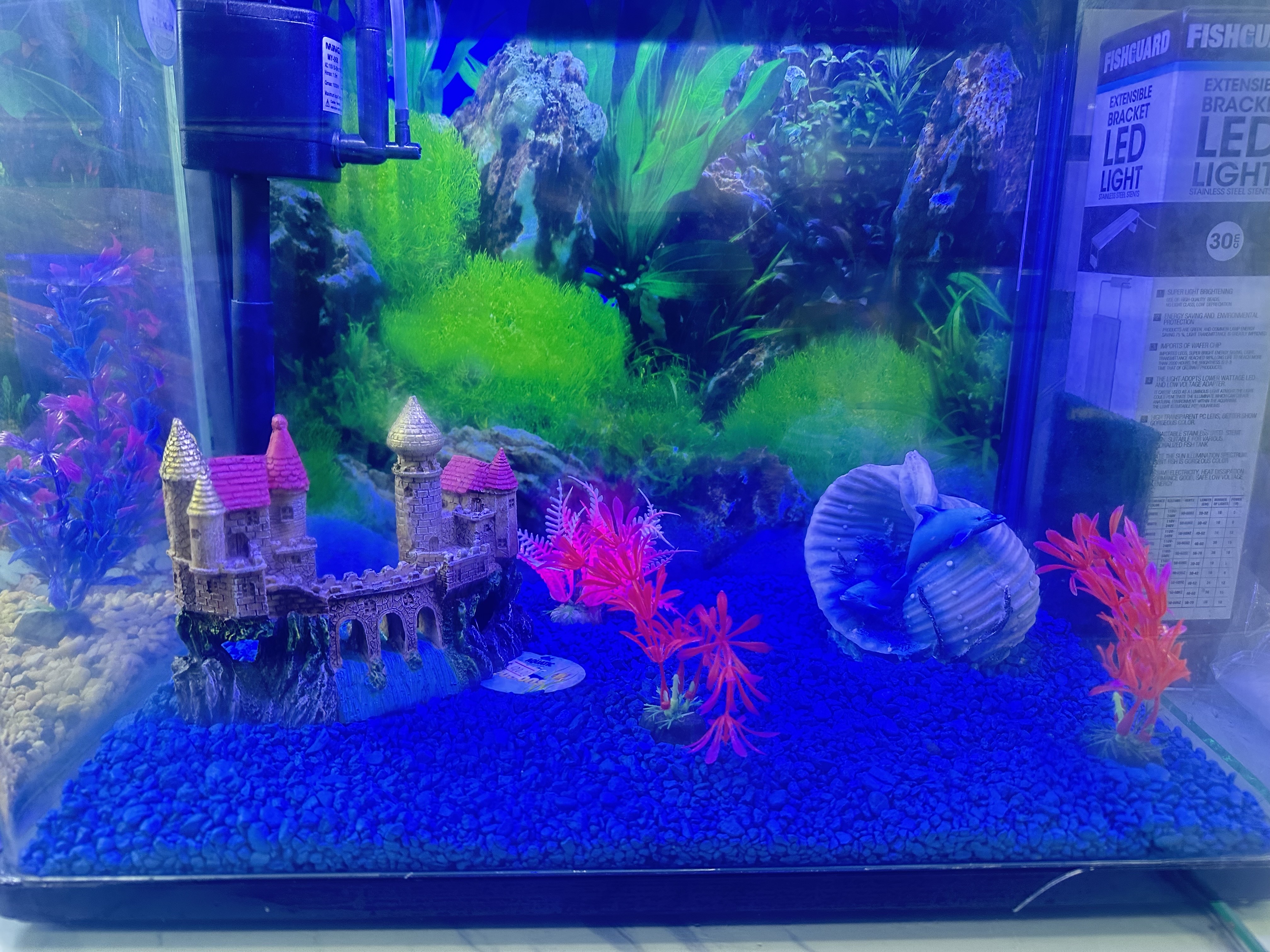 decoración y accesorios - pecera de 10 galones completa 