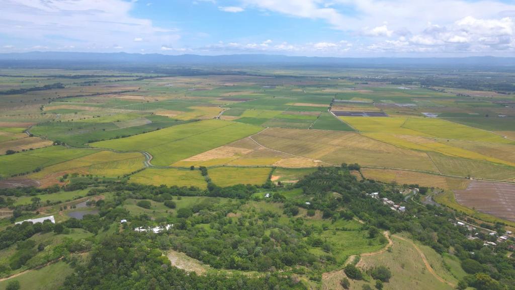 solares y terrenos - 6226- TERRENO EN RINCÓN, LA VEGA  0