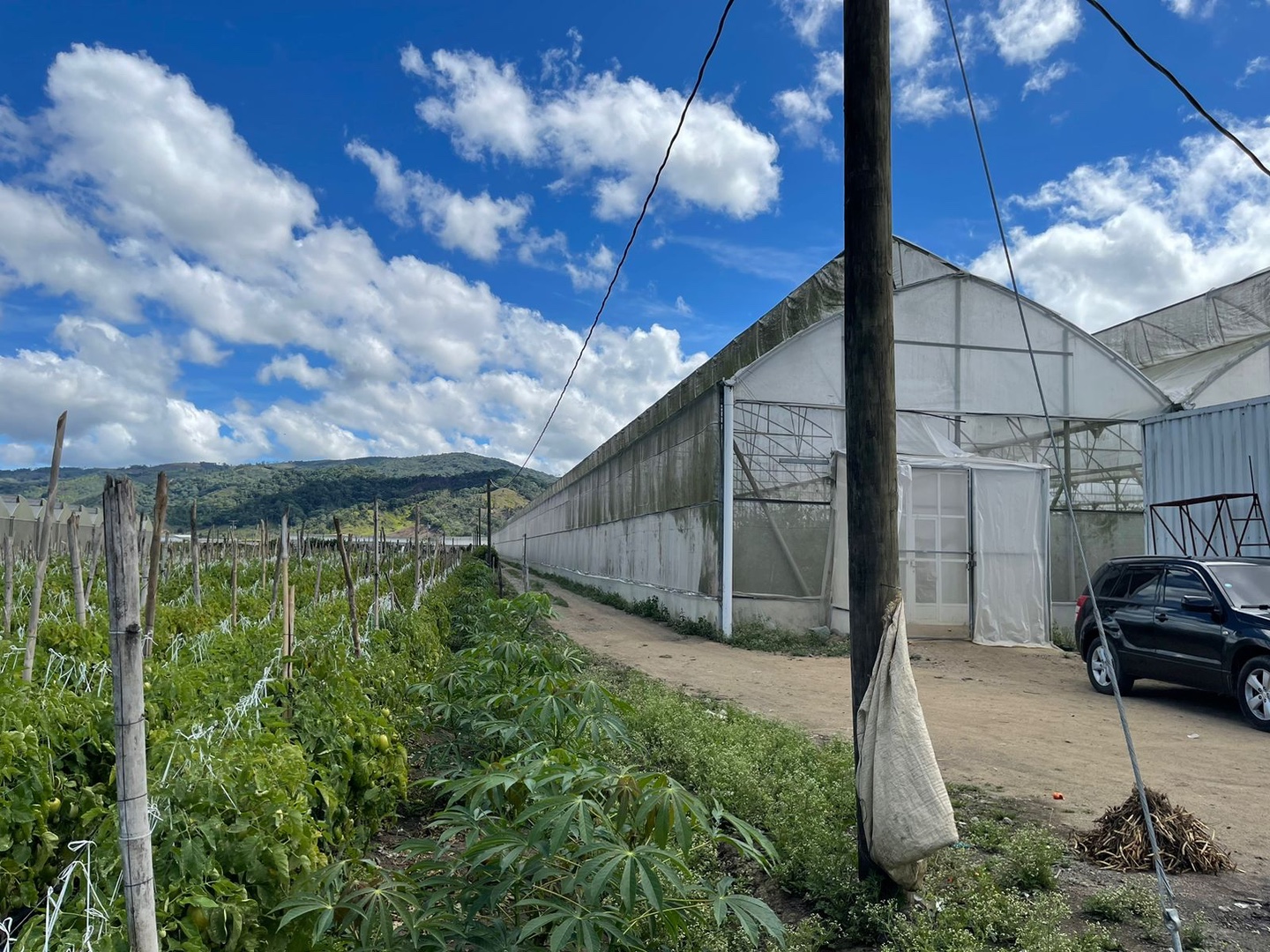 solares y terrenos - Rancho arriba finca invernadero  5