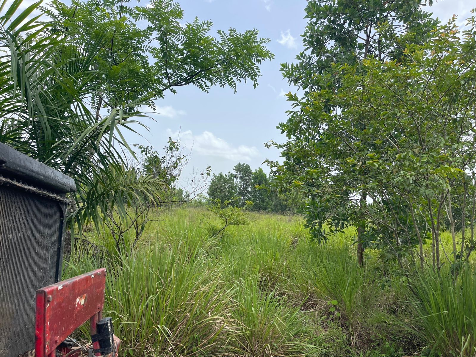 solares y terrenos - Finca de 2,500 tareas en Santo Domingo Norte, a la Orilla de la Carretera 4