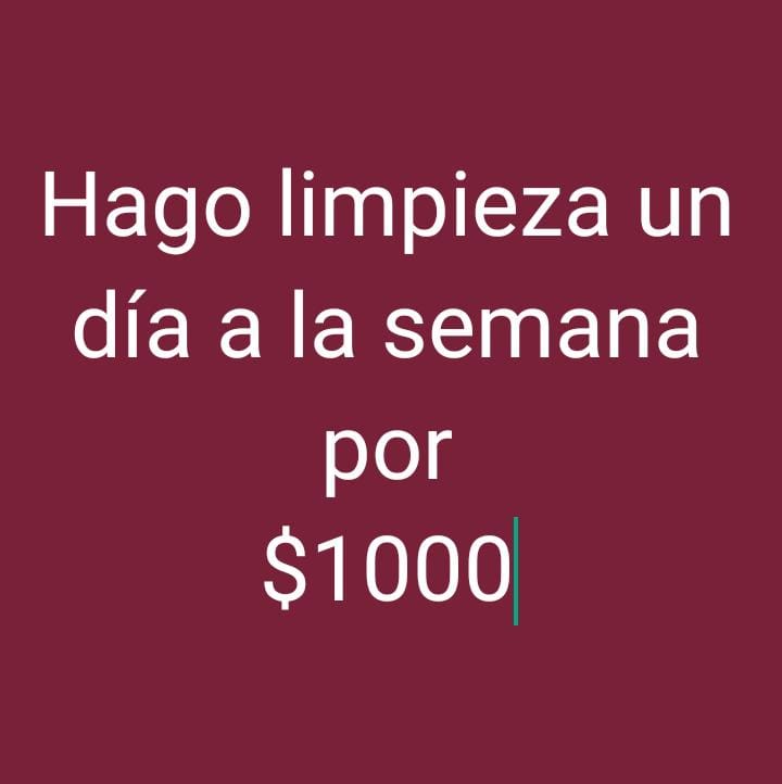 servicios profesionales - Hago limpieza